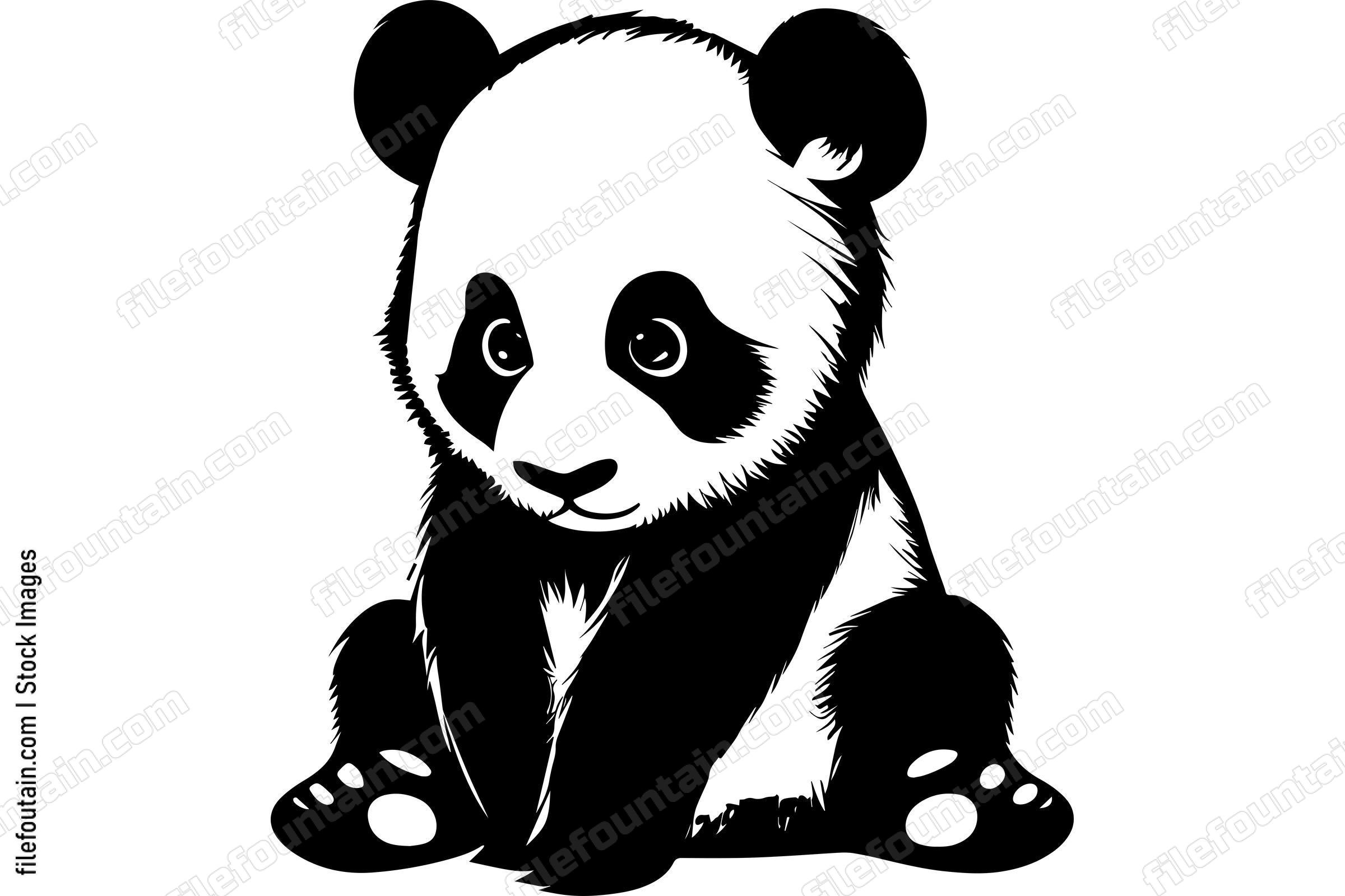 Baby Panda