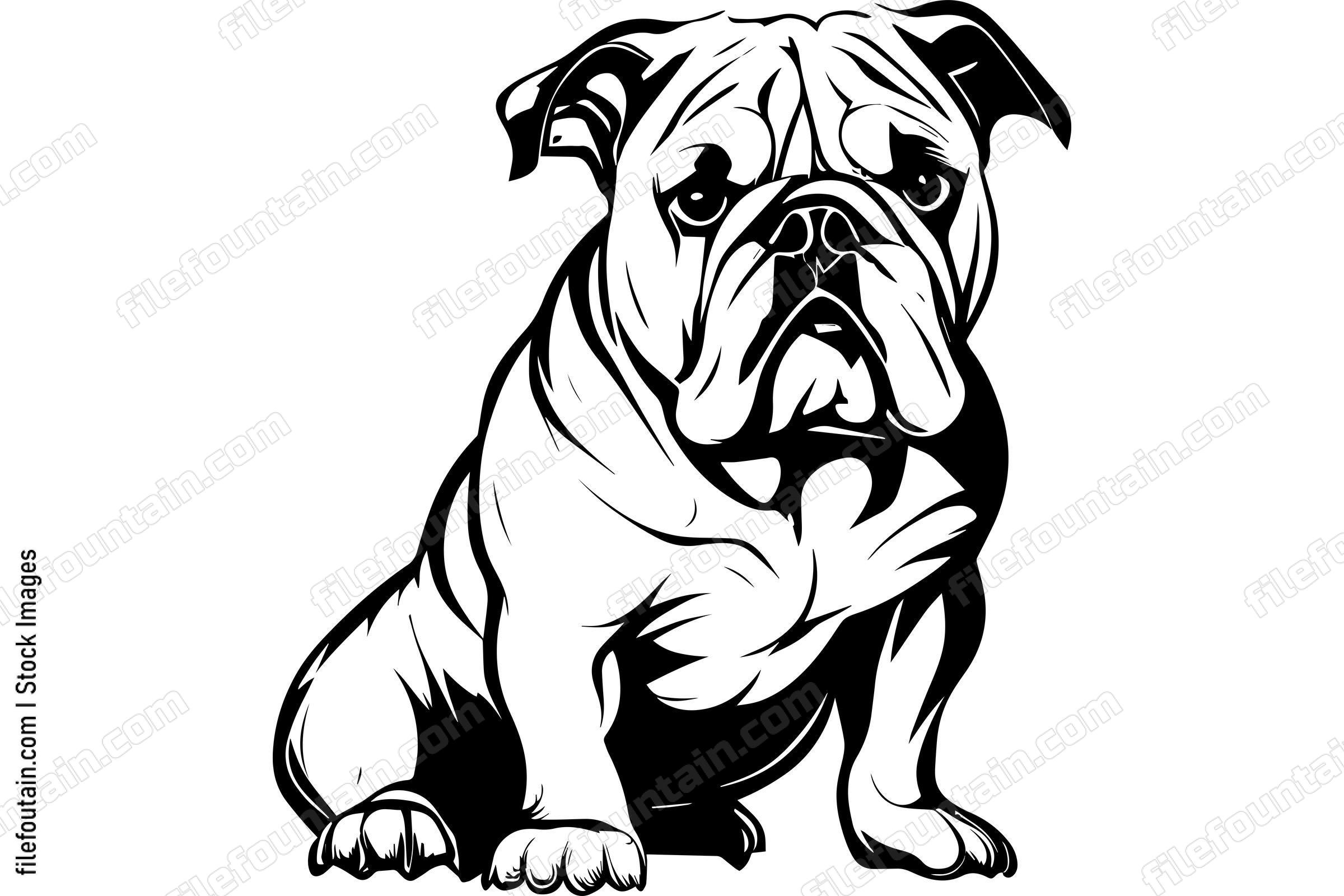 Bulldog