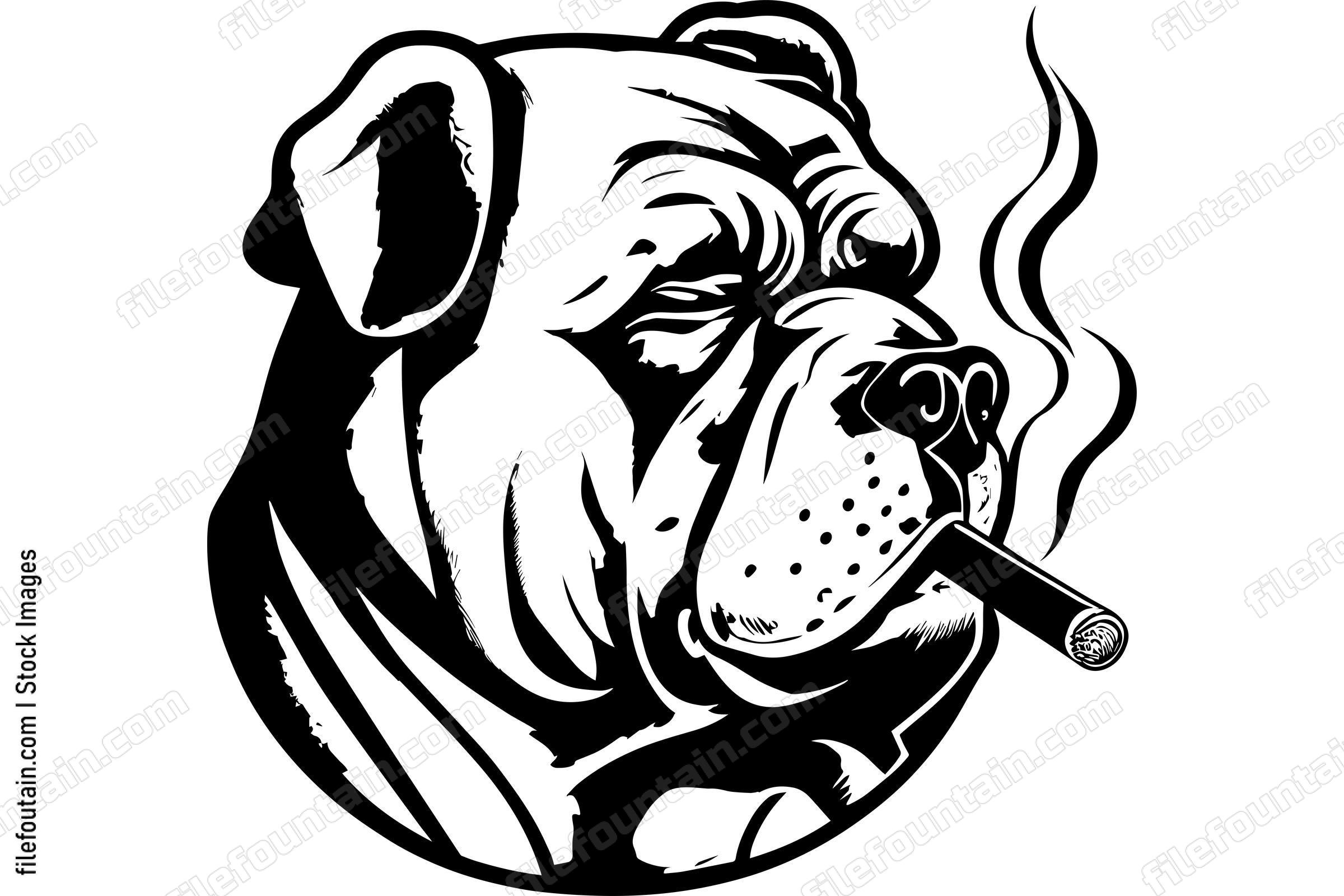 Bulldog Smoking A Cigar