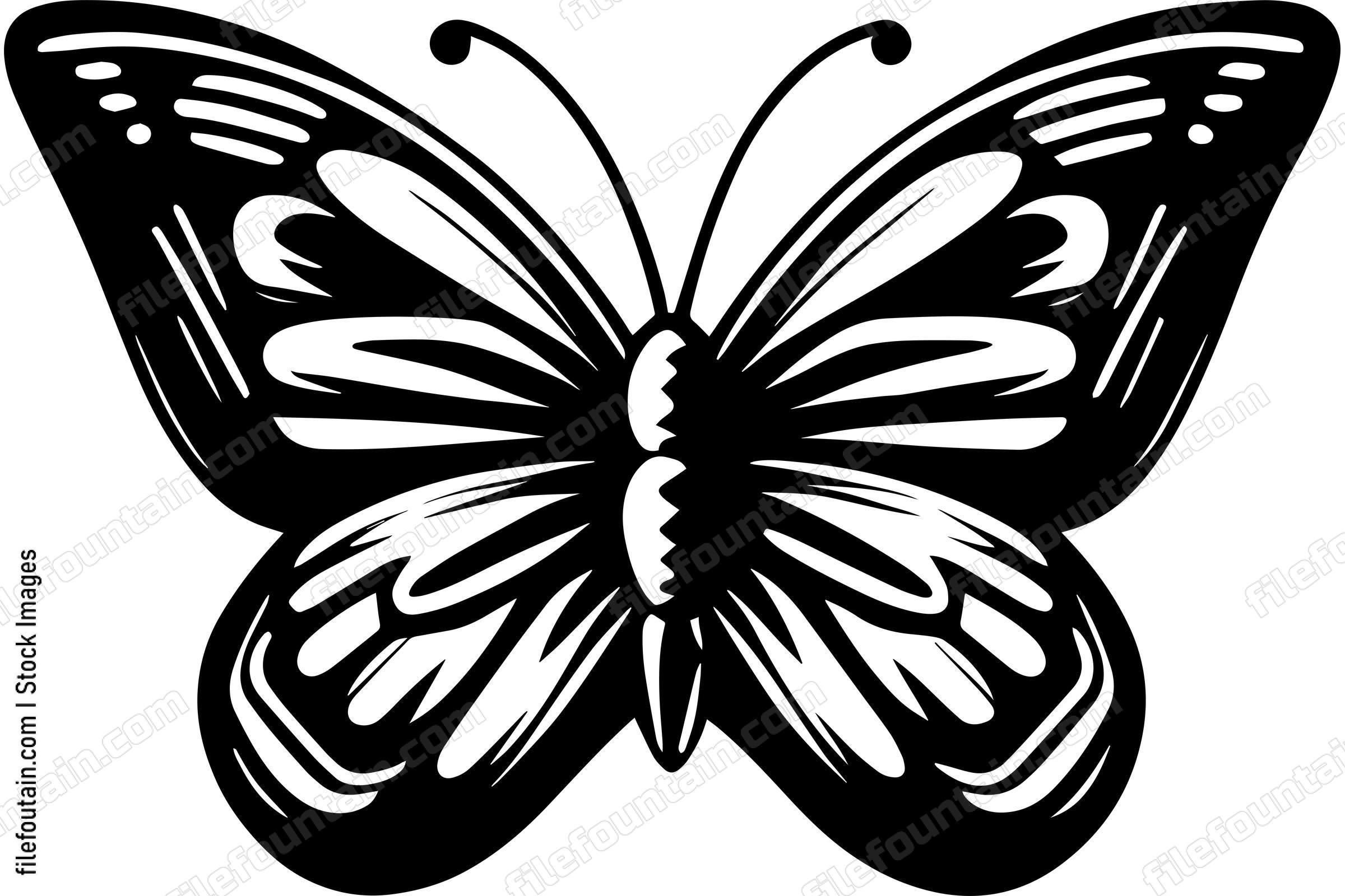 Butterfly Monochrome Design