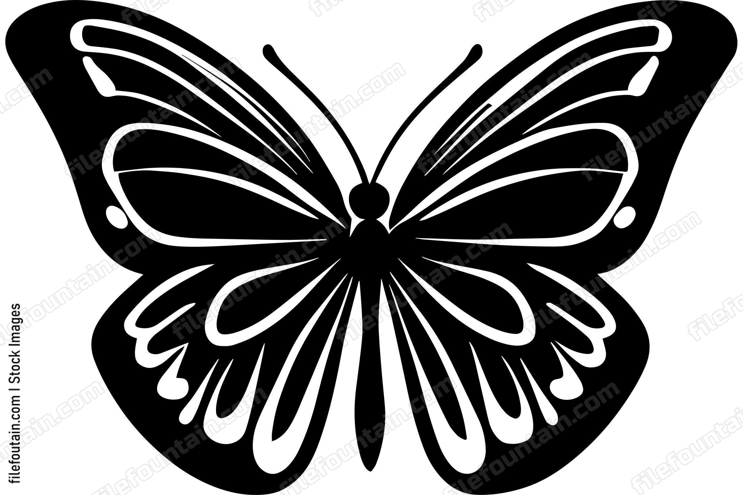 Butterfly Monochrome Design