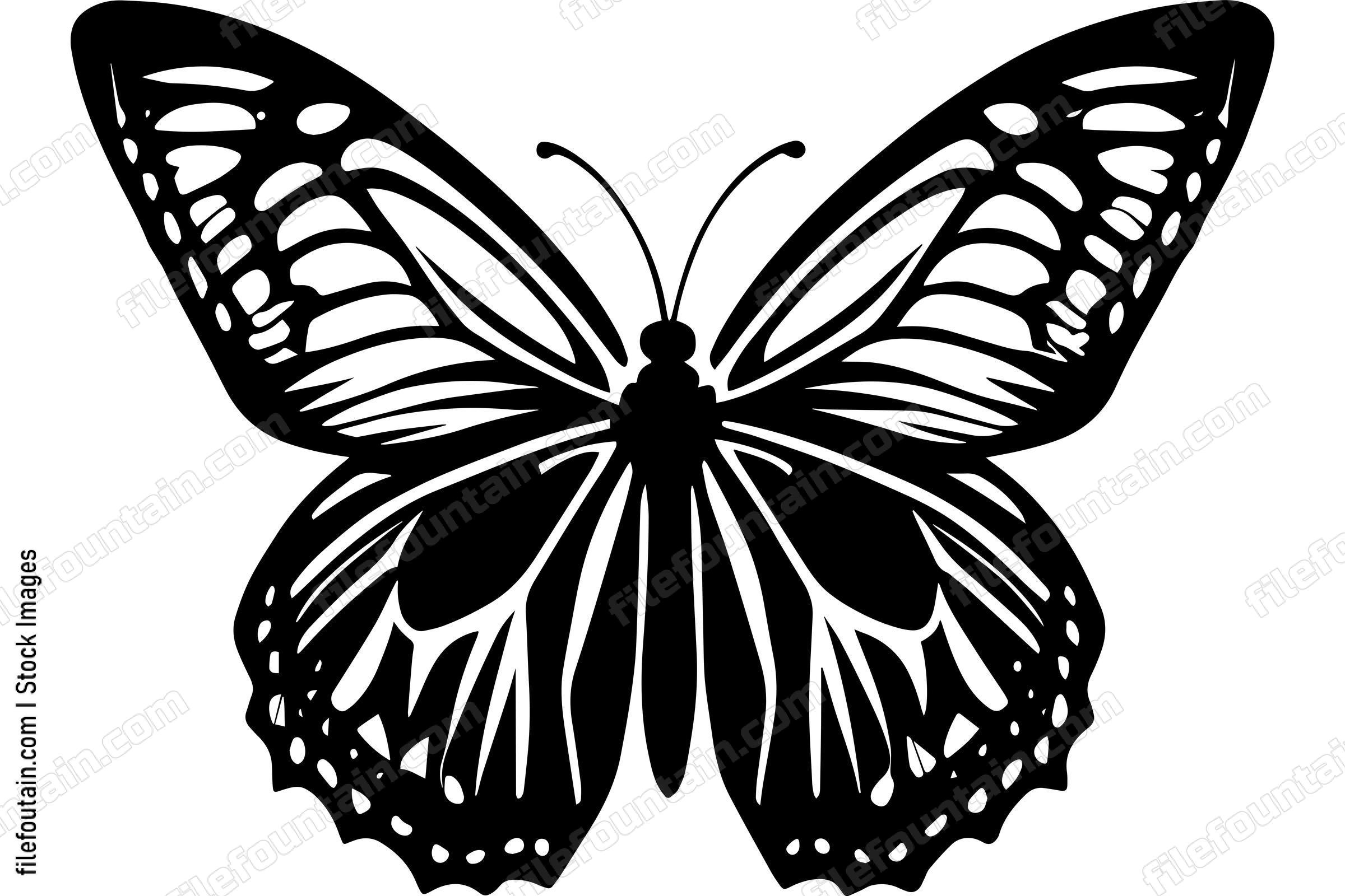 Butterfly Monochrome Design