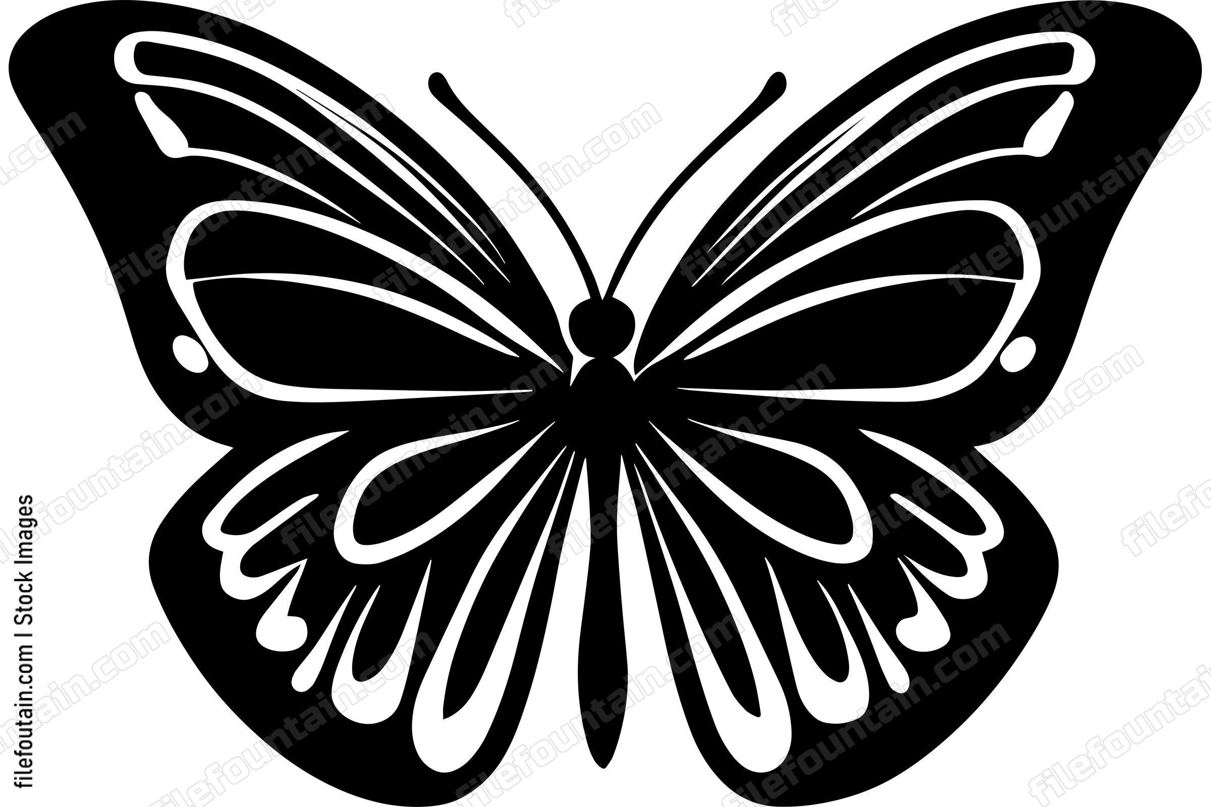 Butterfly Monochrome Design