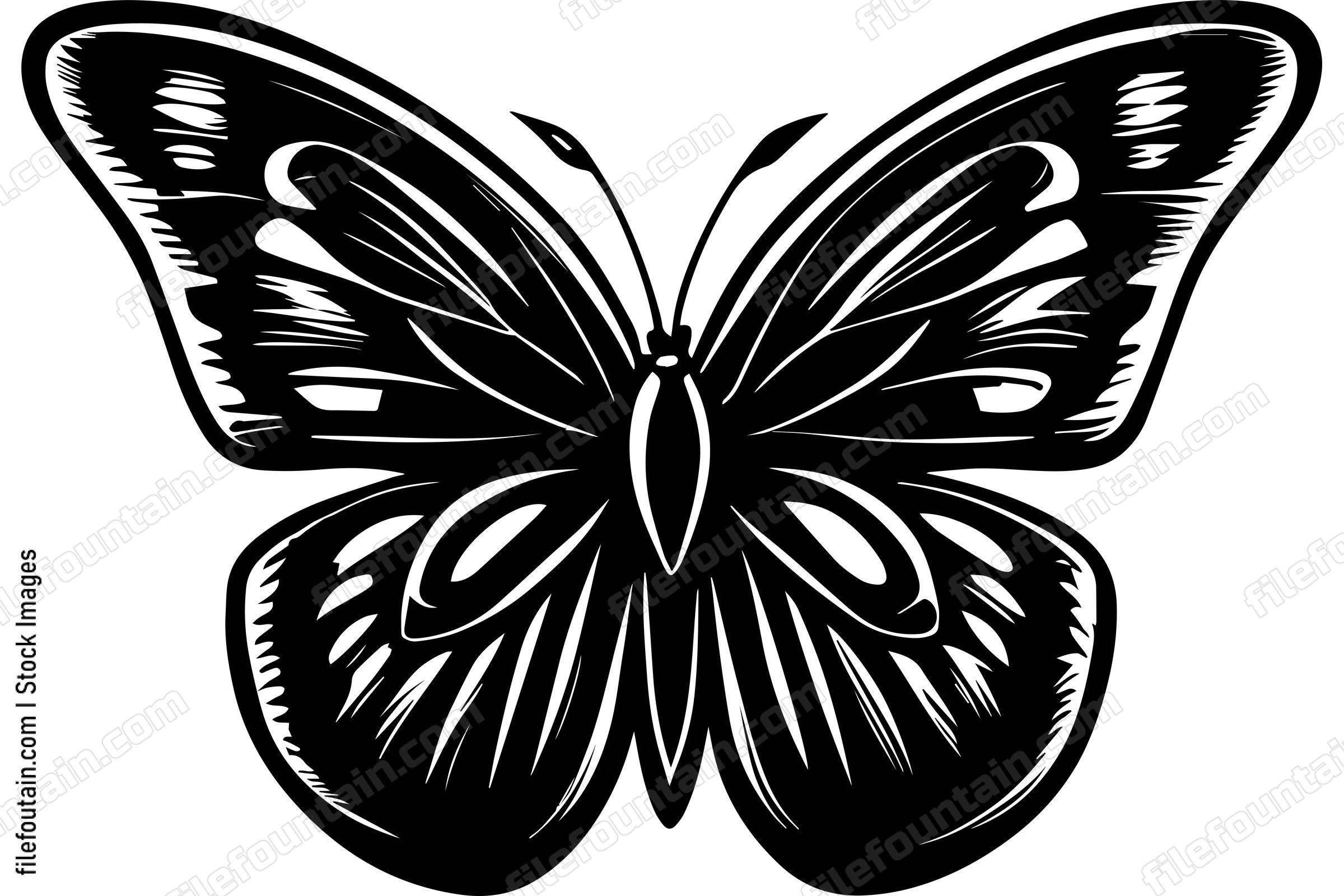 Butterfly Monochrome Design