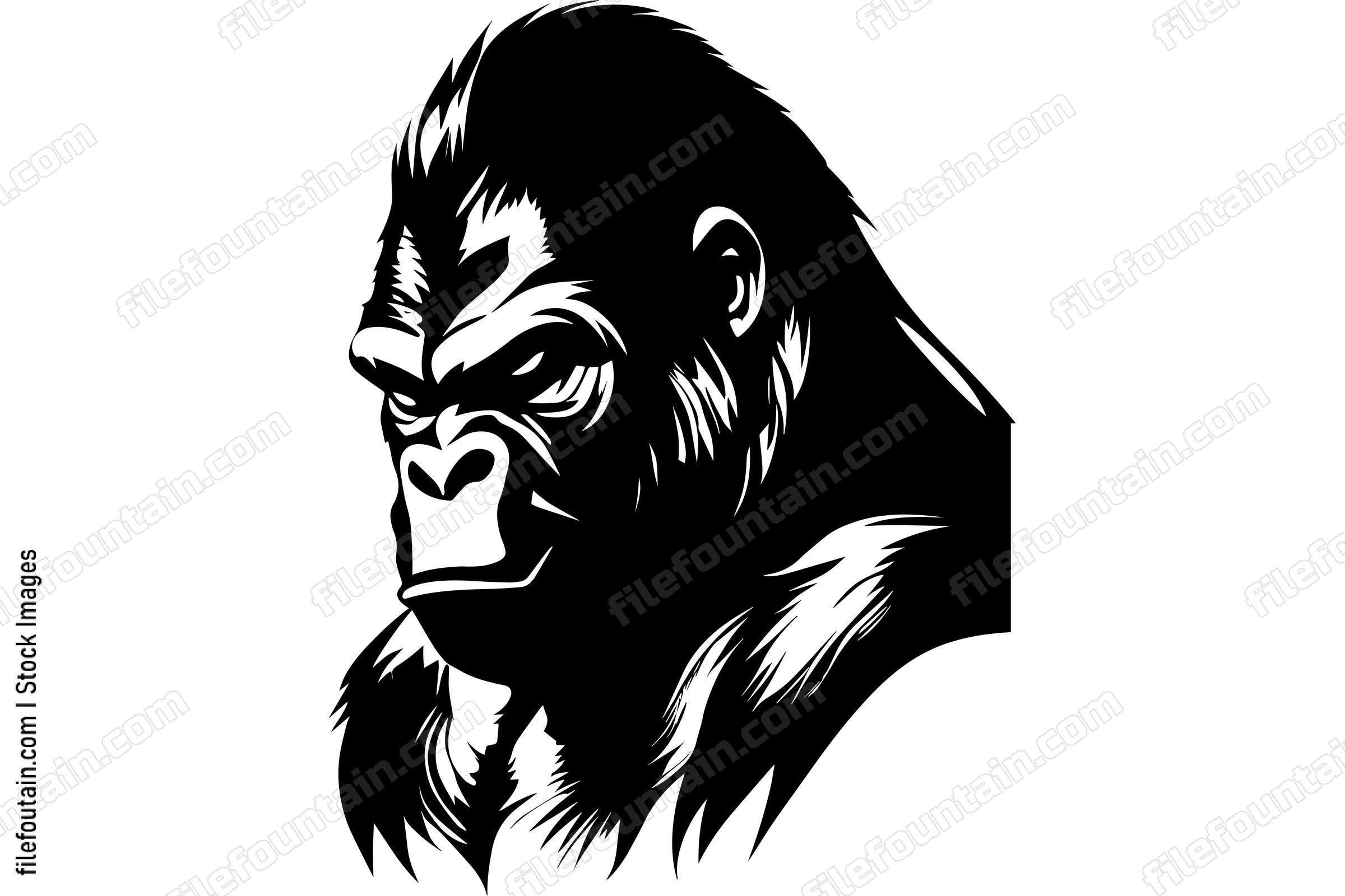 Gorilla