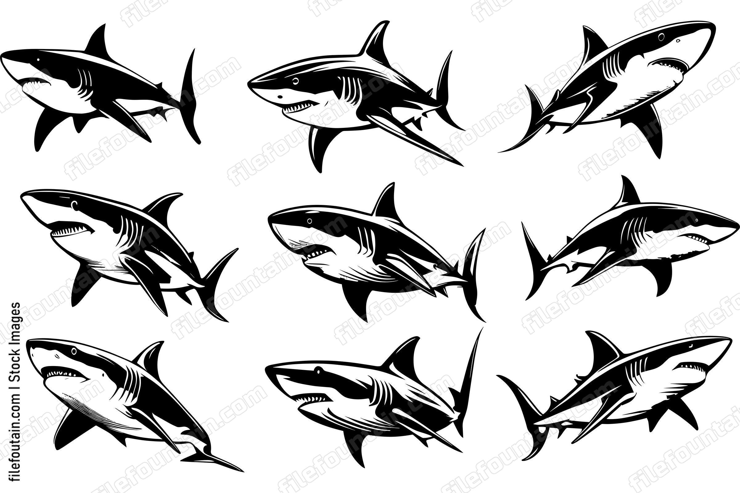 Great White Shark Set