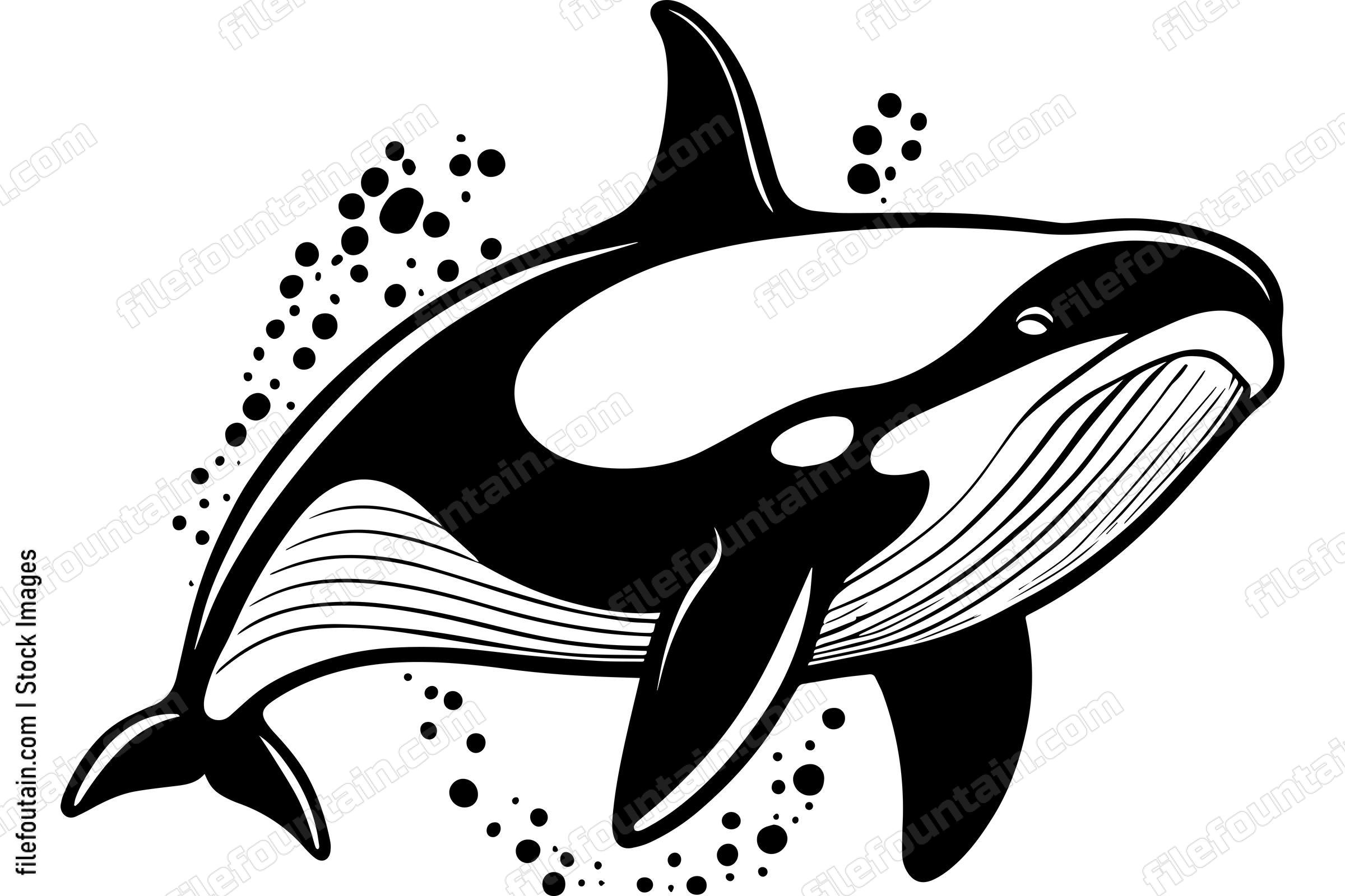 Orca