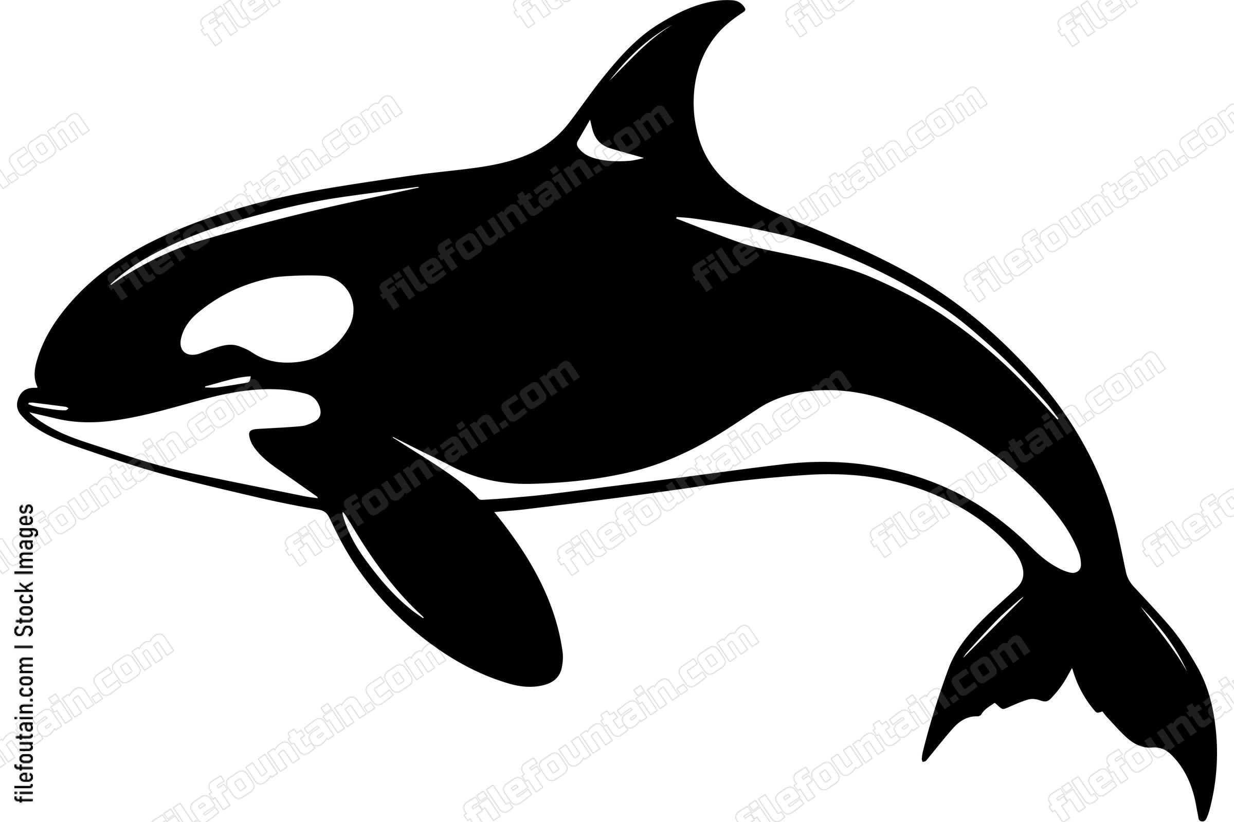 Orca