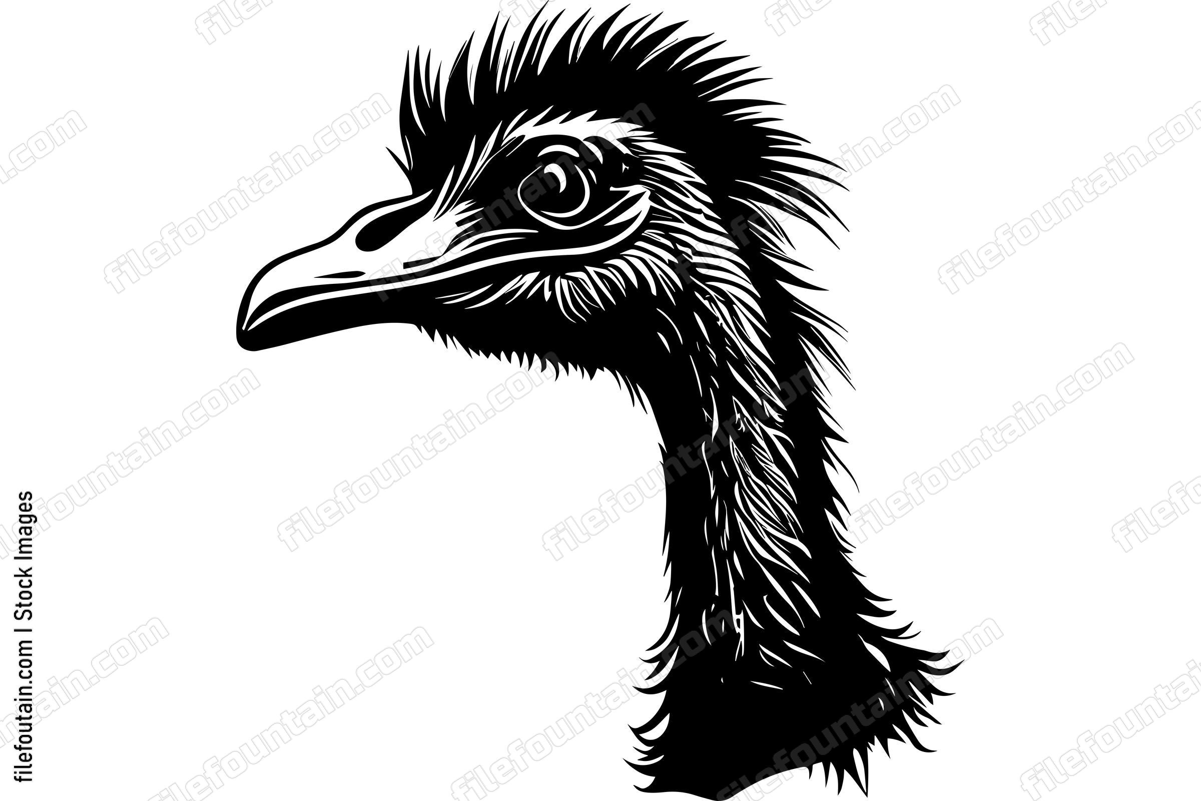 Ostrich