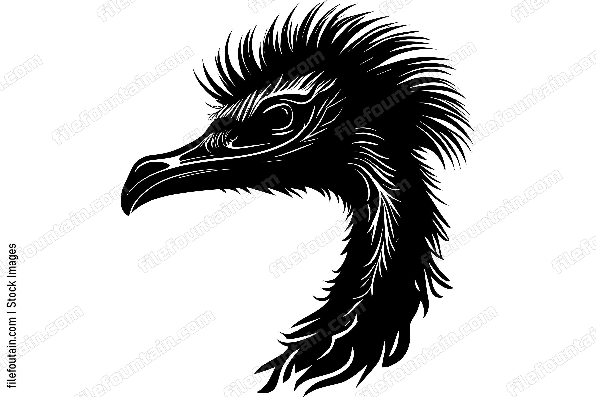 Ostrich