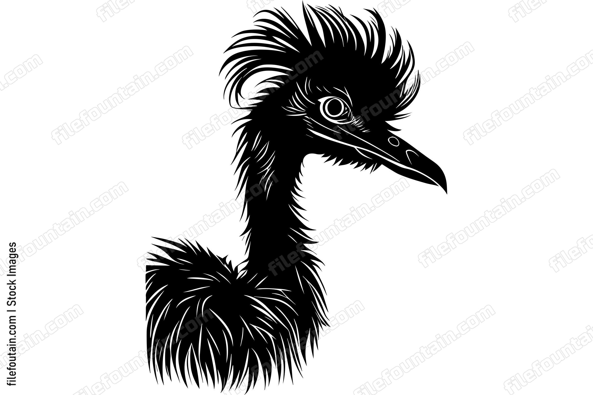 Ostrich