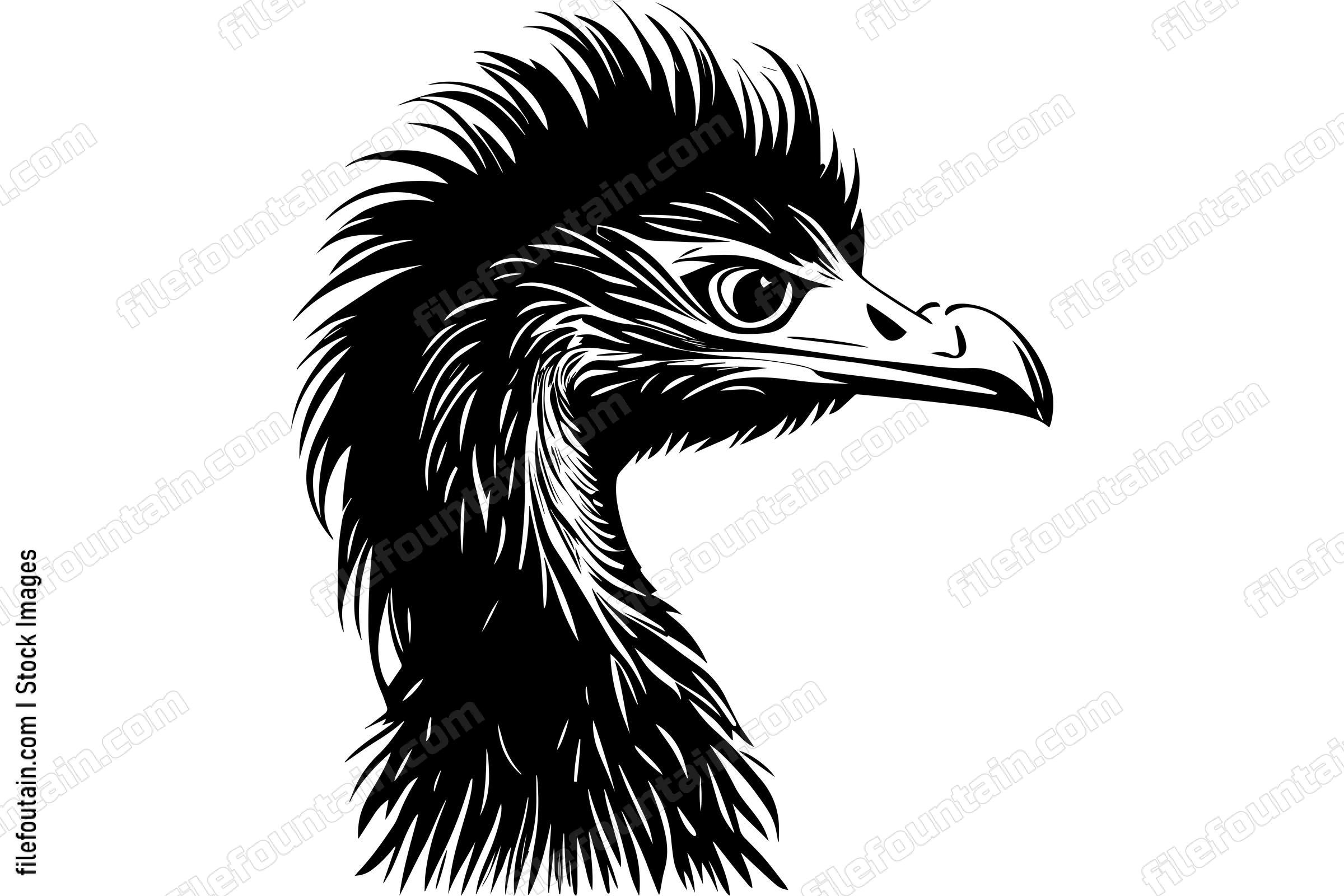 Ostrich