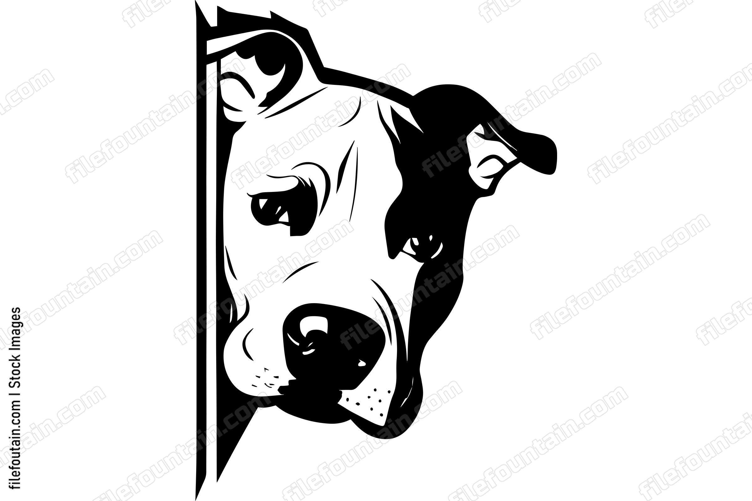 Peeking Pitbull