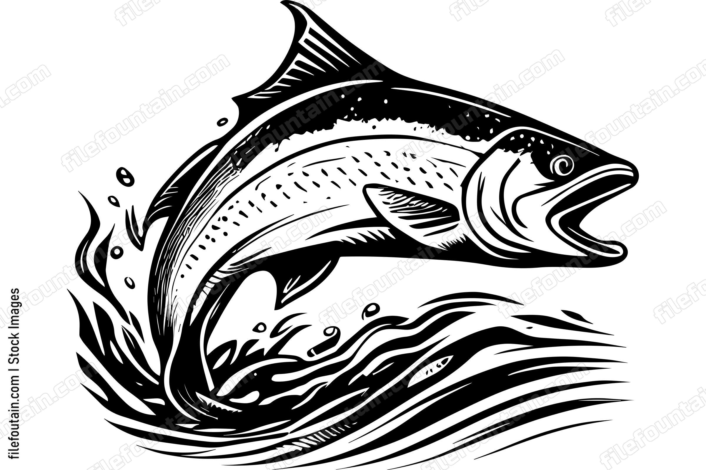 Salmon