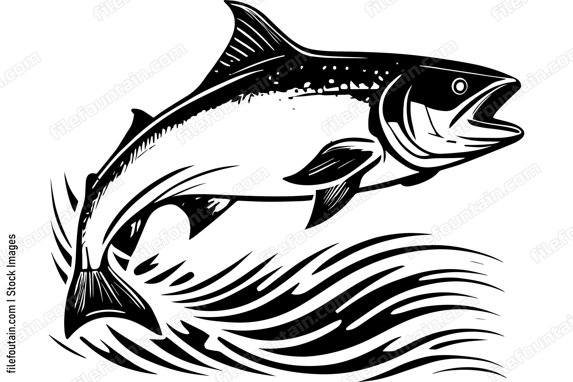Salmon