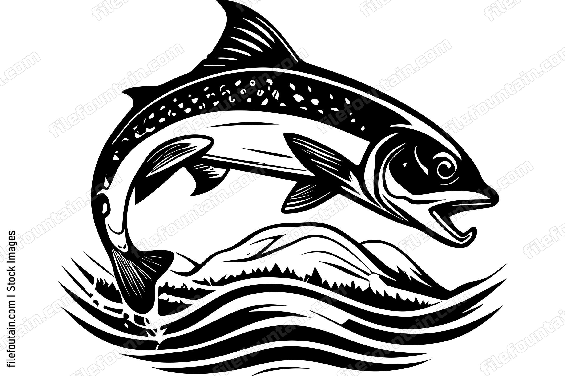Salmon