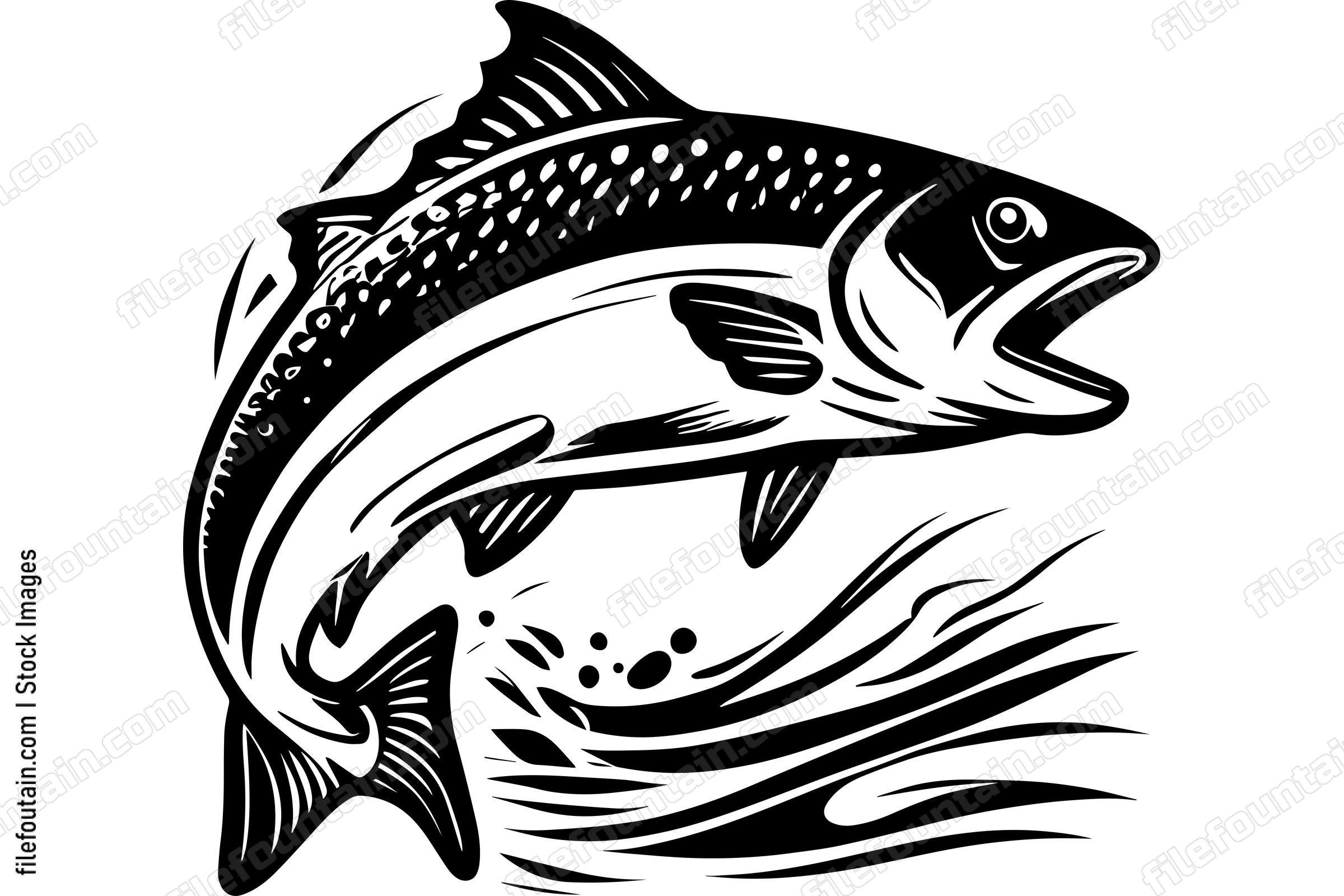 Salmon