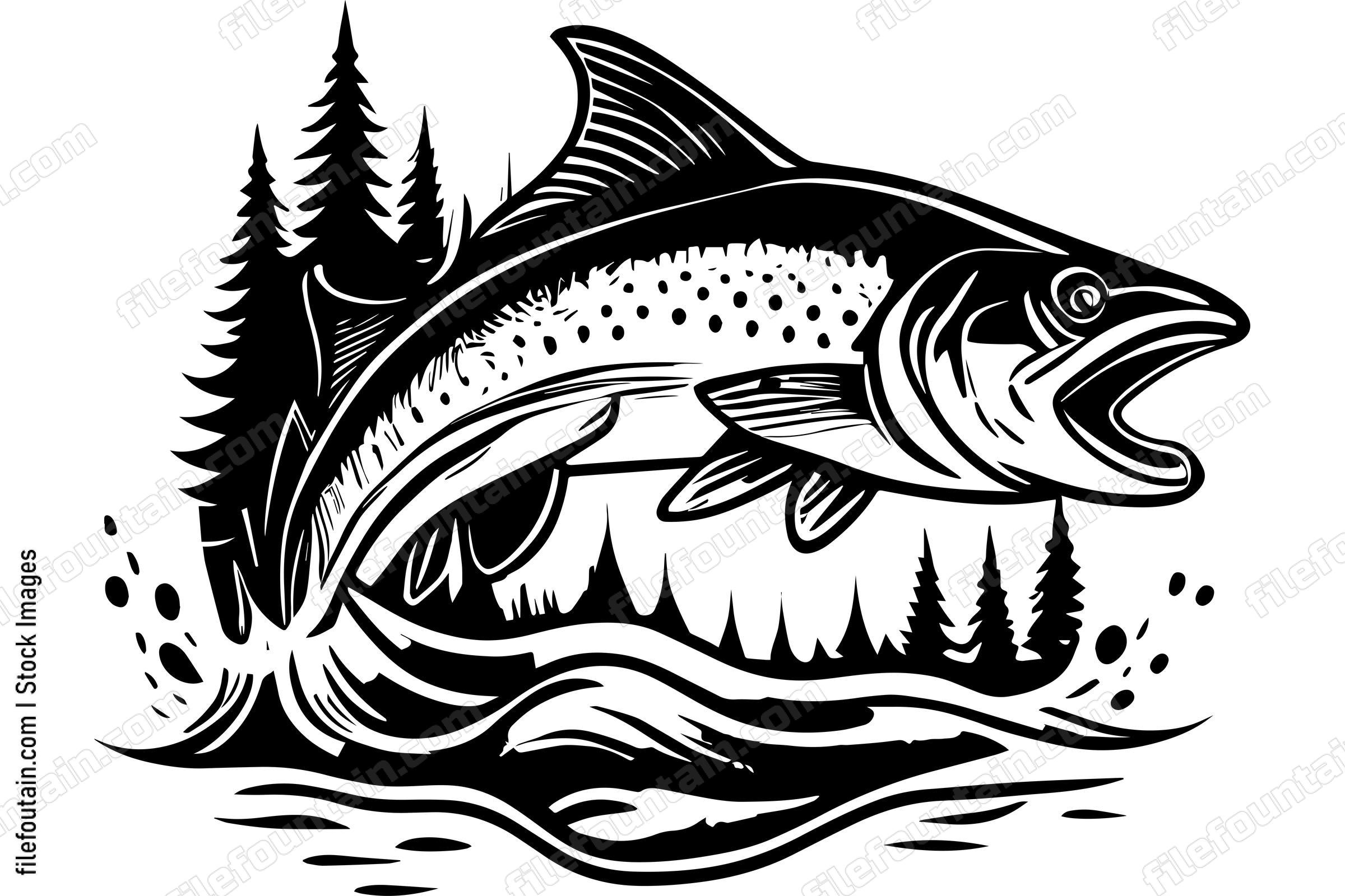 Salmon