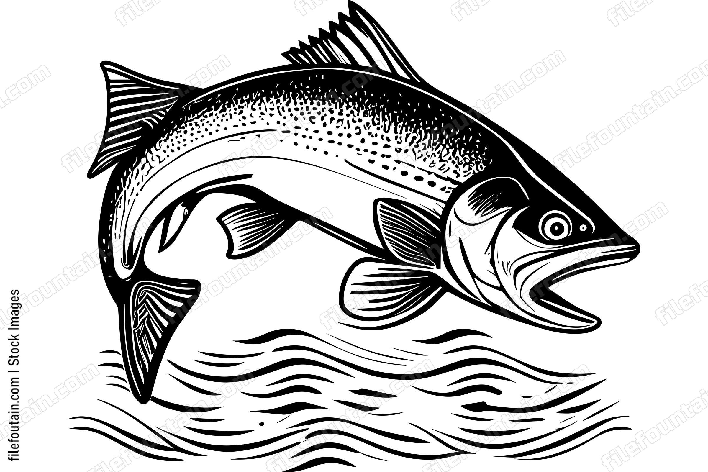 Salmon