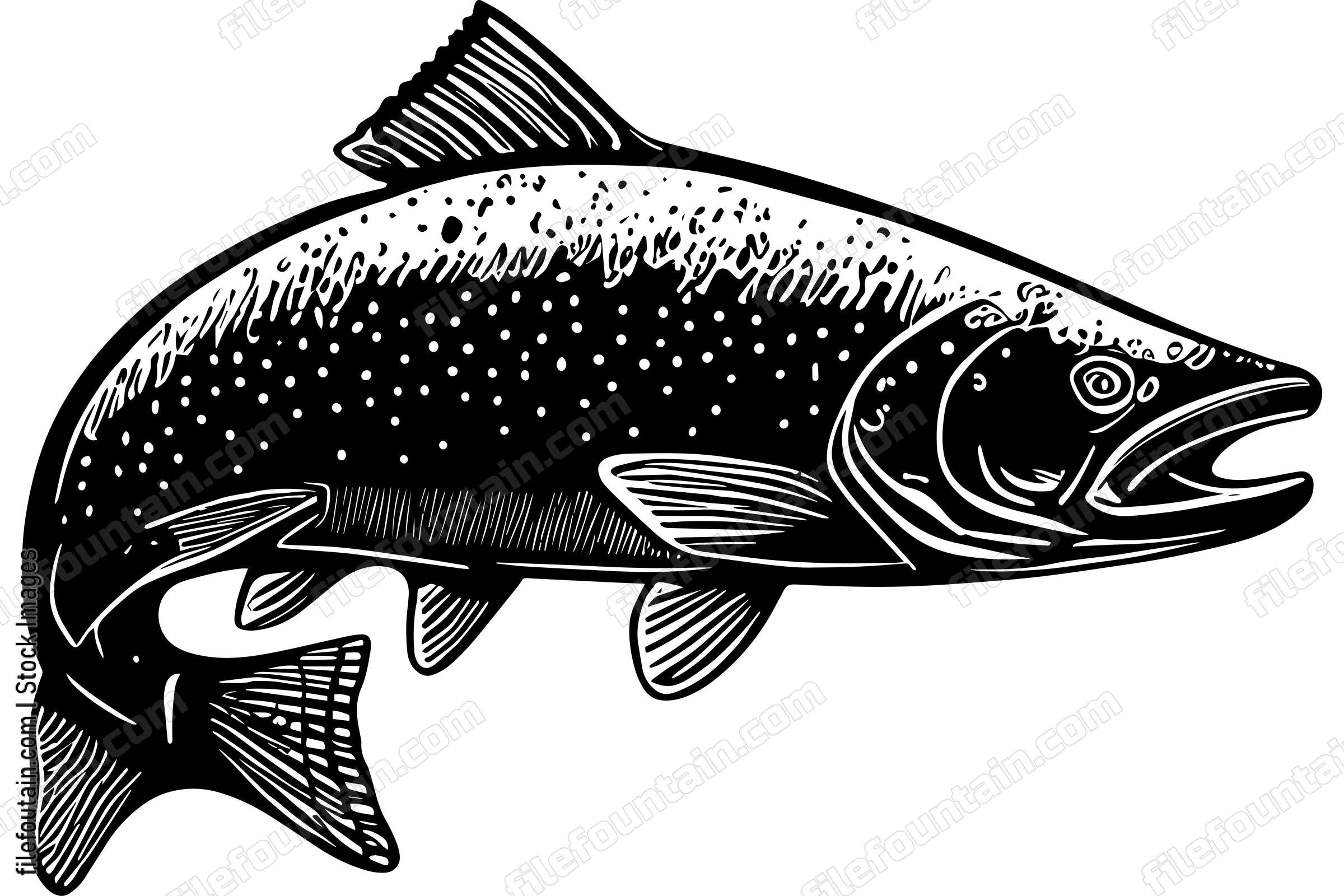 Salmon
