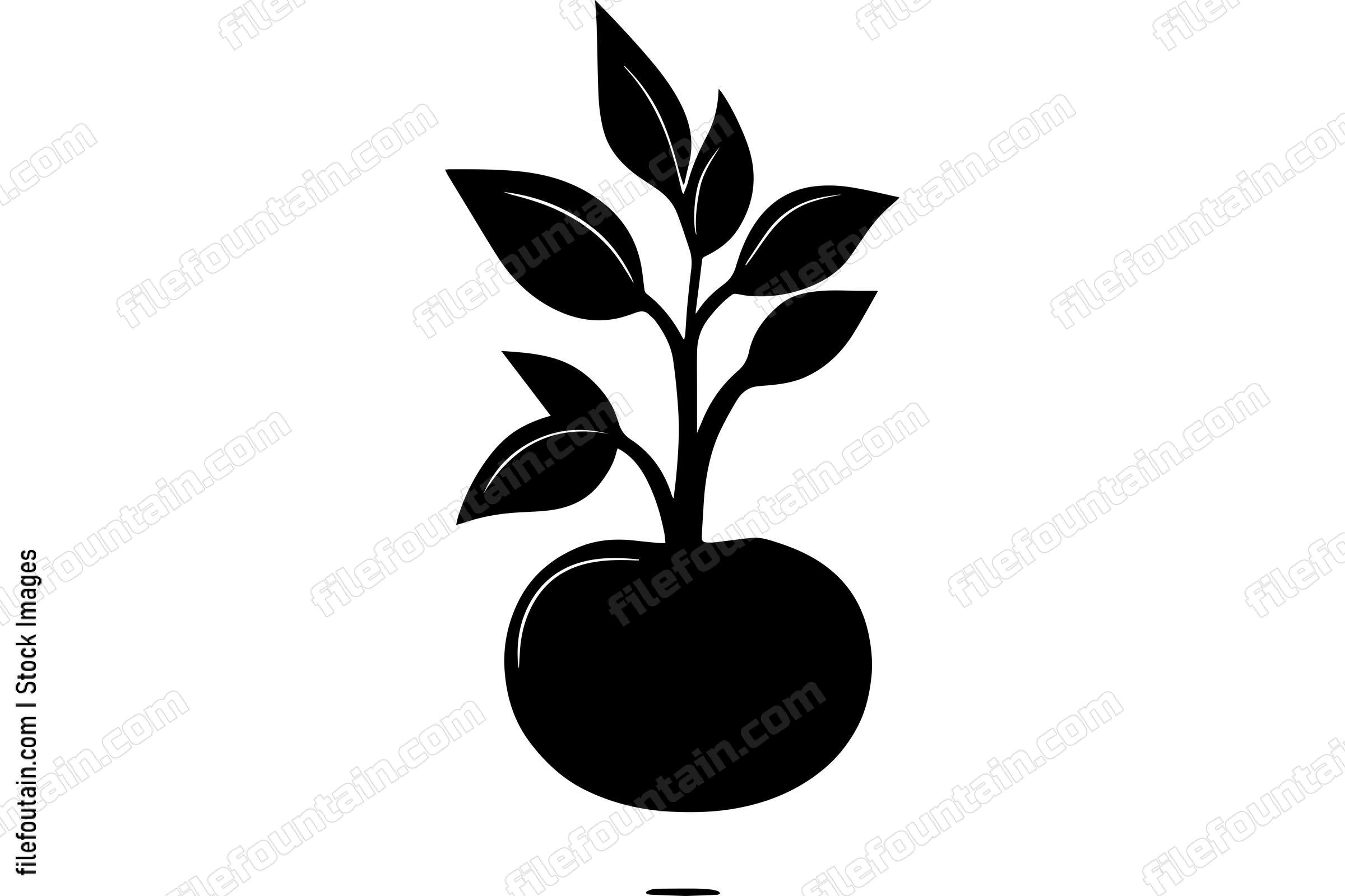 Tomato Logo