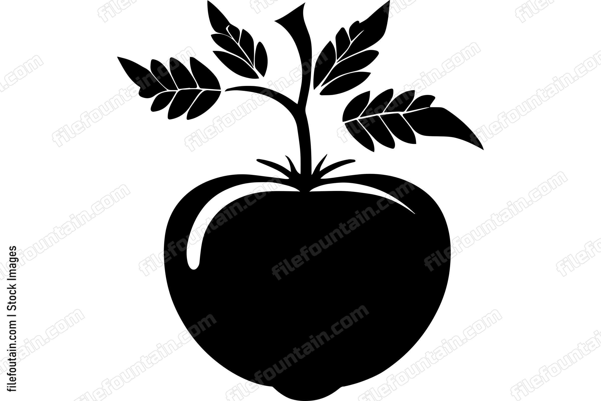 Tomato Logo
