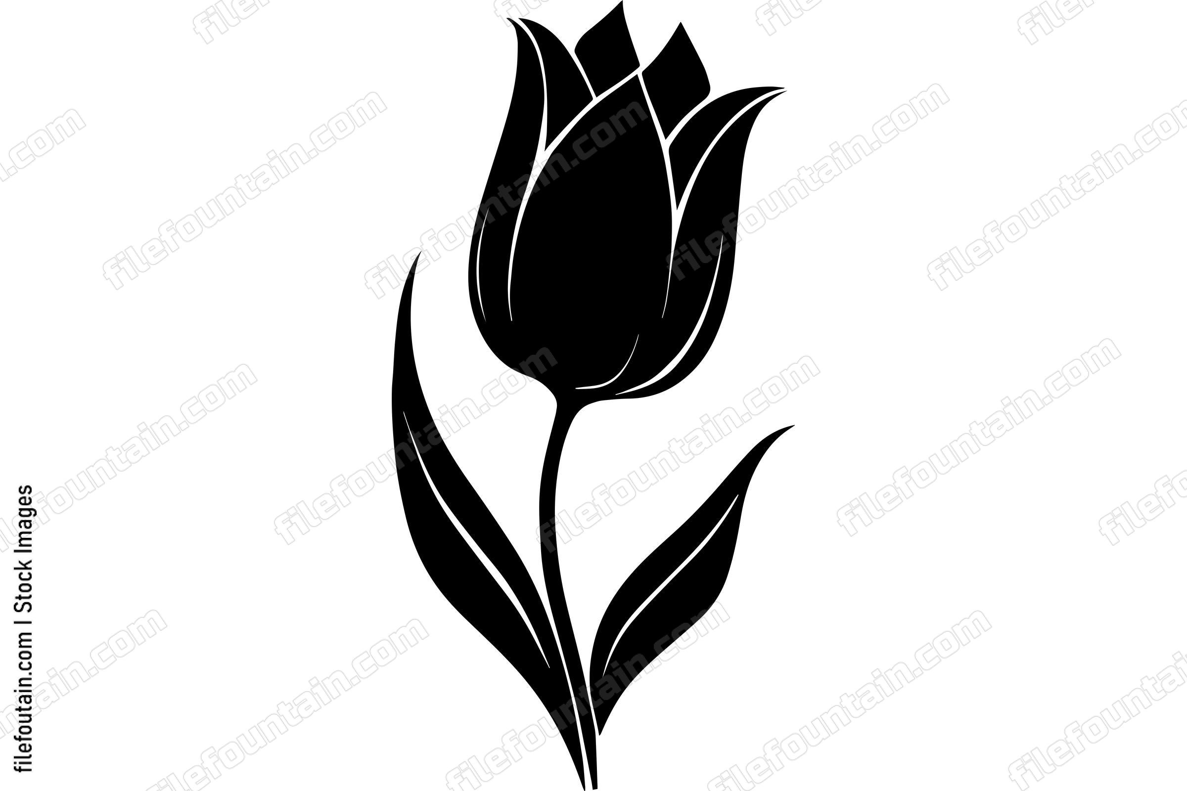 Tulip