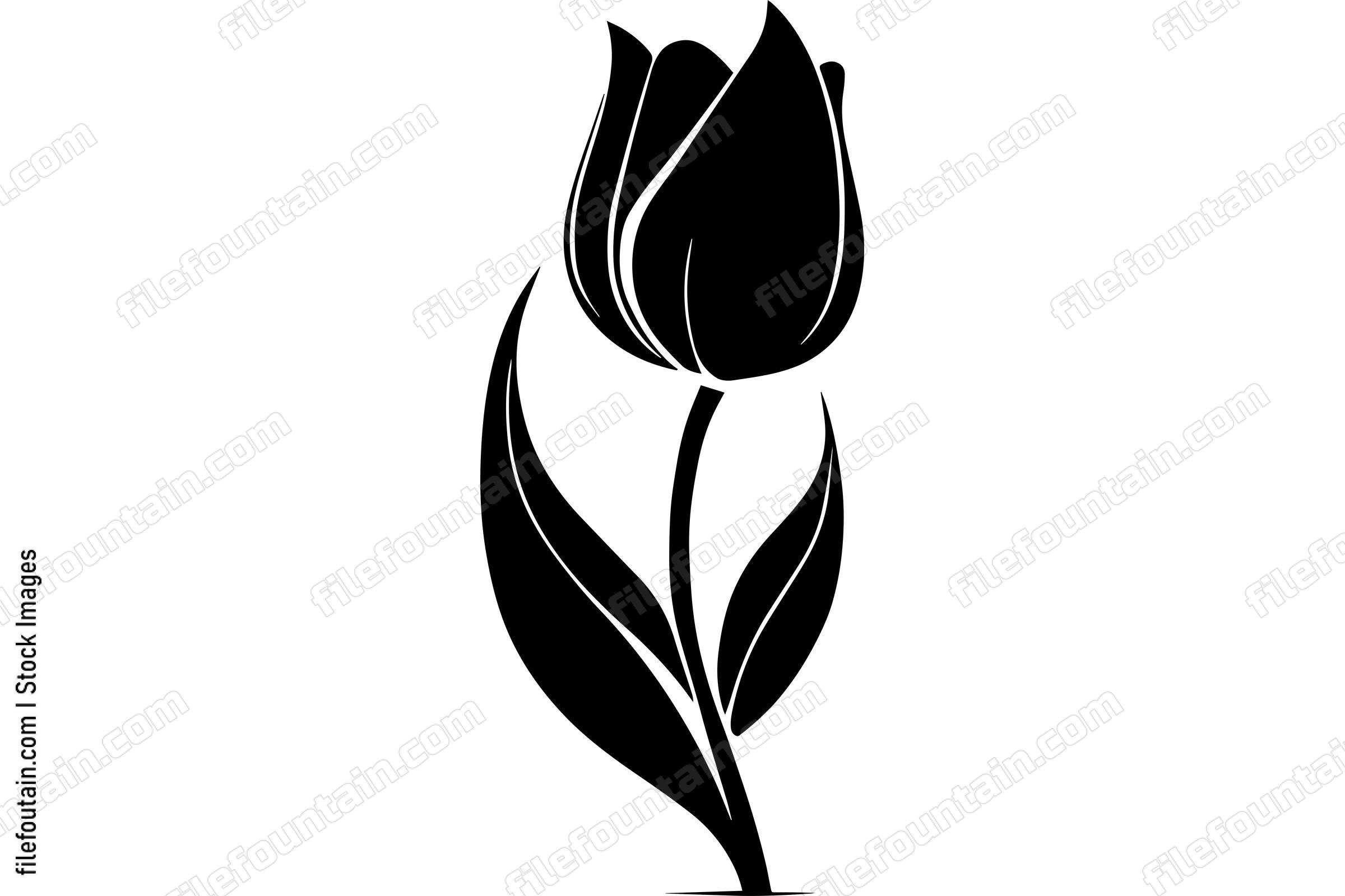 Tulip