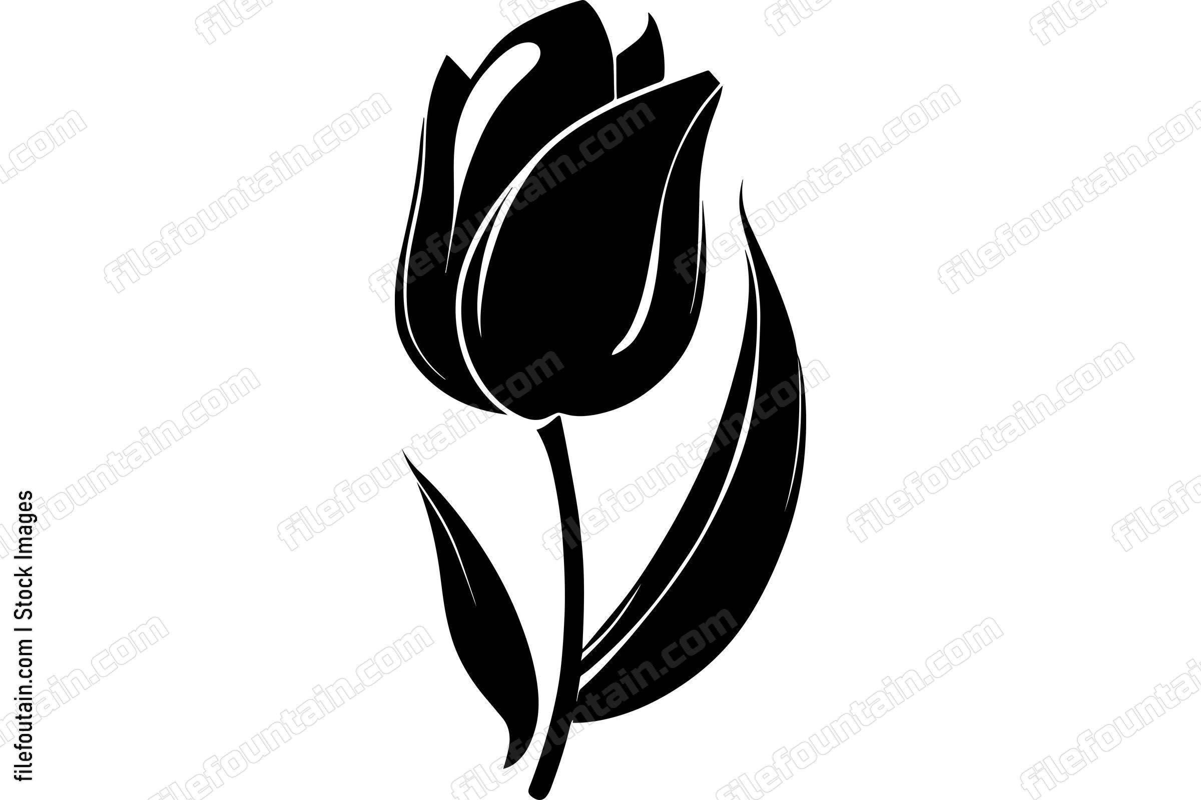 Tulip