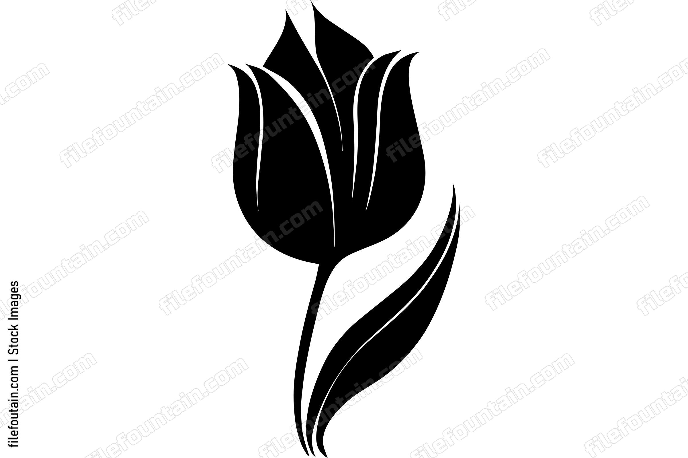 Tulip