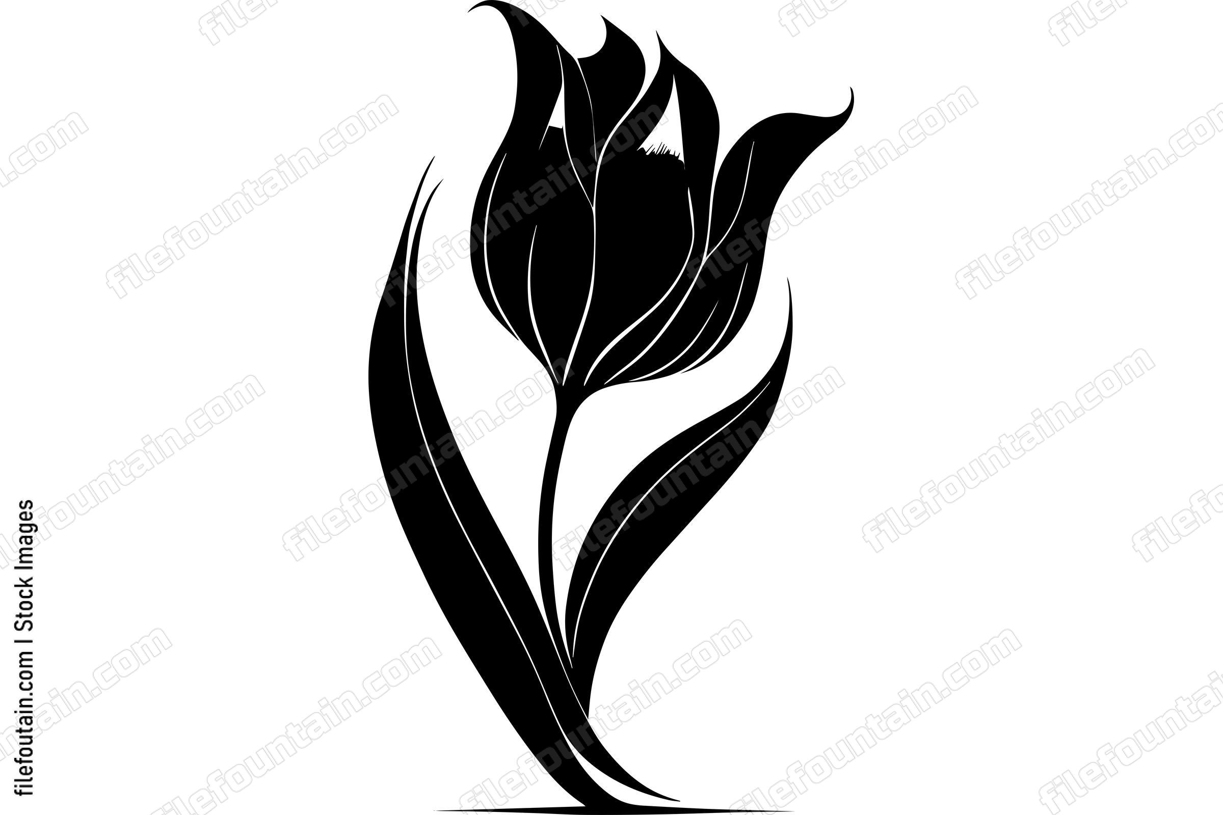 Tulip