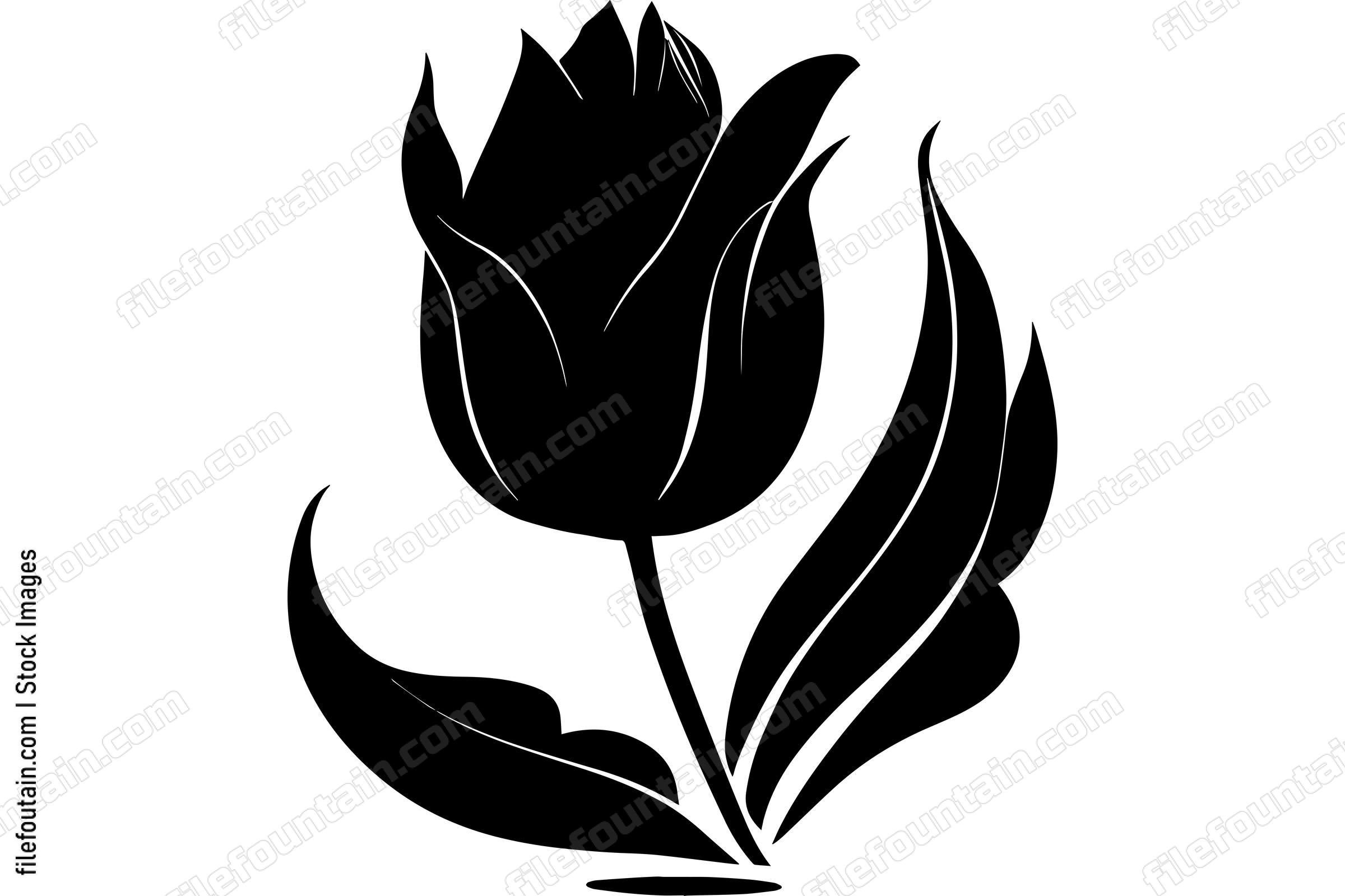 Tulip