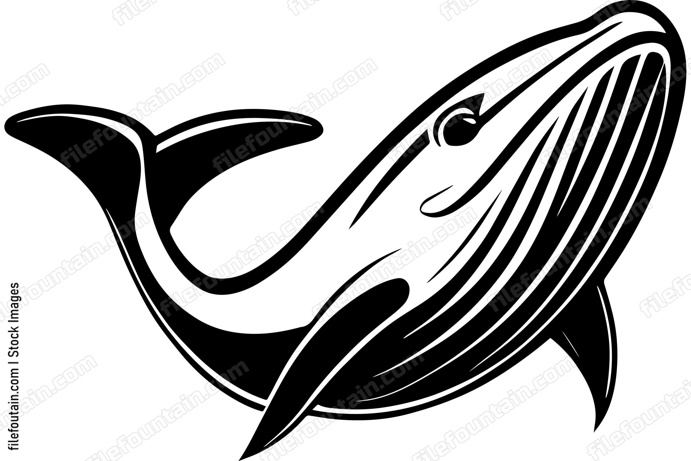 Whale