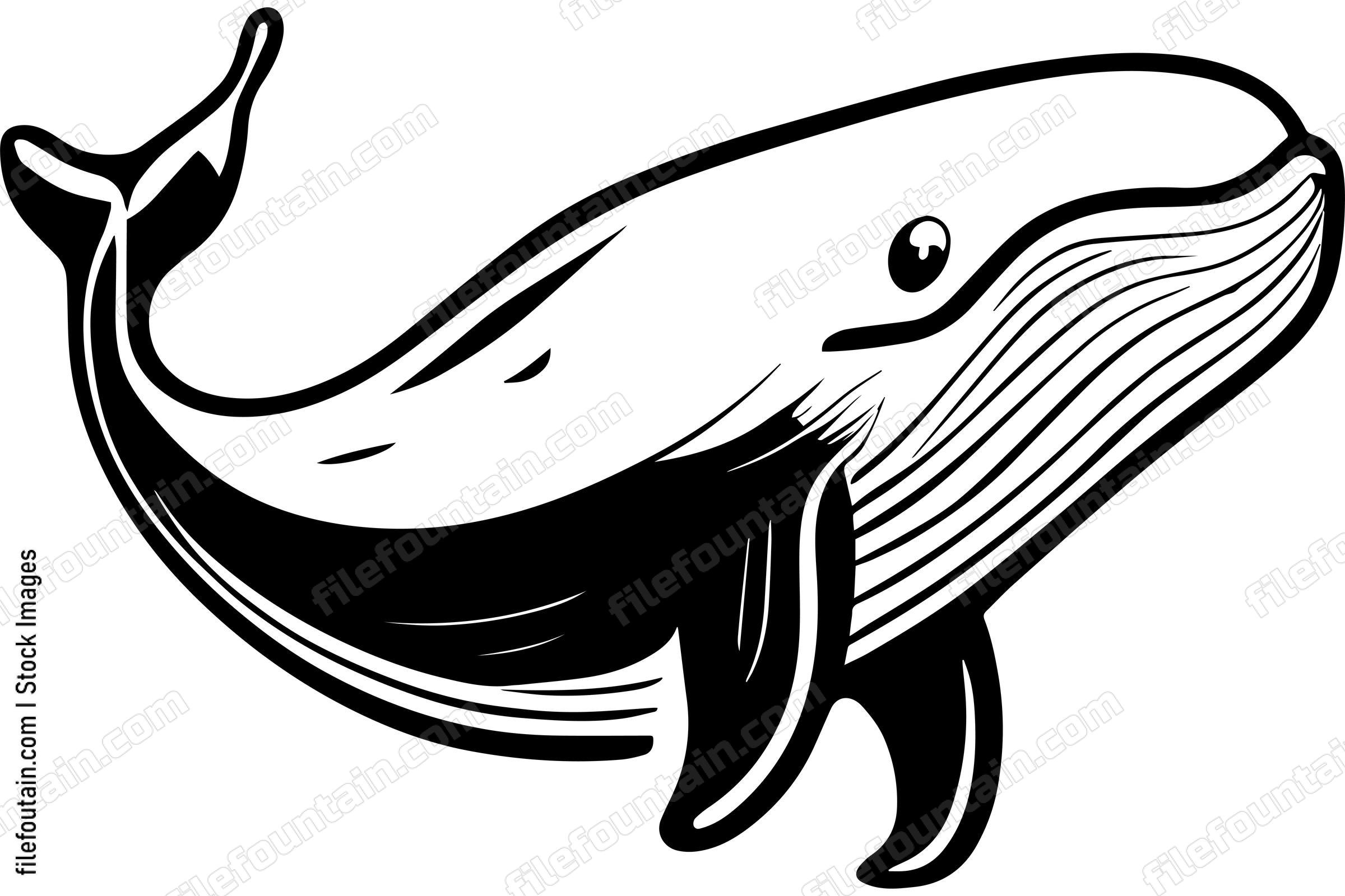Whale