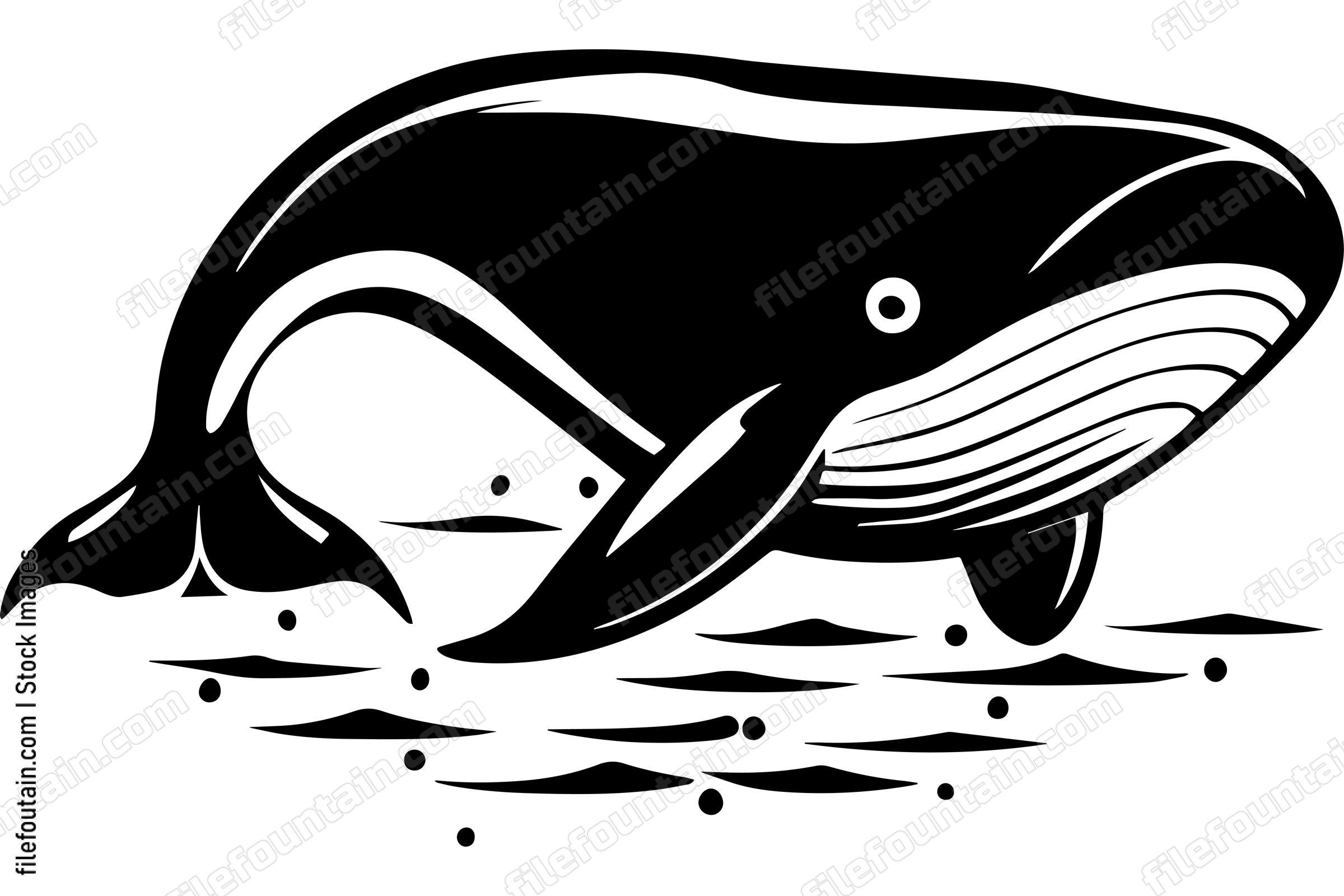 Whale