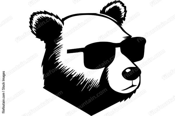 Bear Wearing Sunglasses