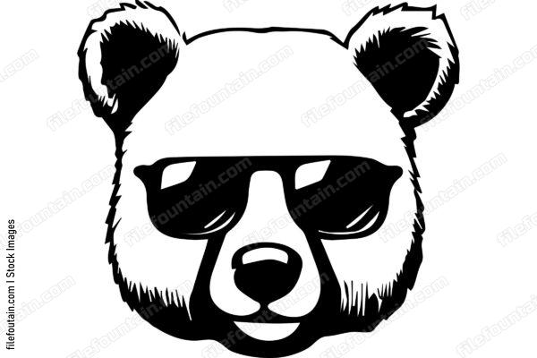 Bear Wearing Sunglasses