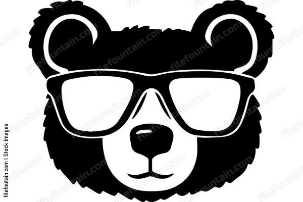 Bear Wearing Sunglasses