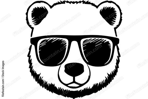 Bear Wearing Sunglasses