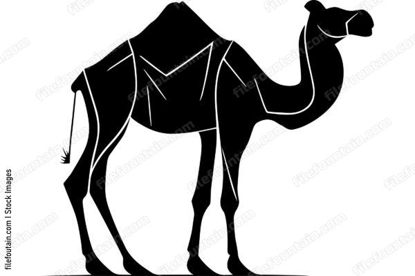 Camel Logo