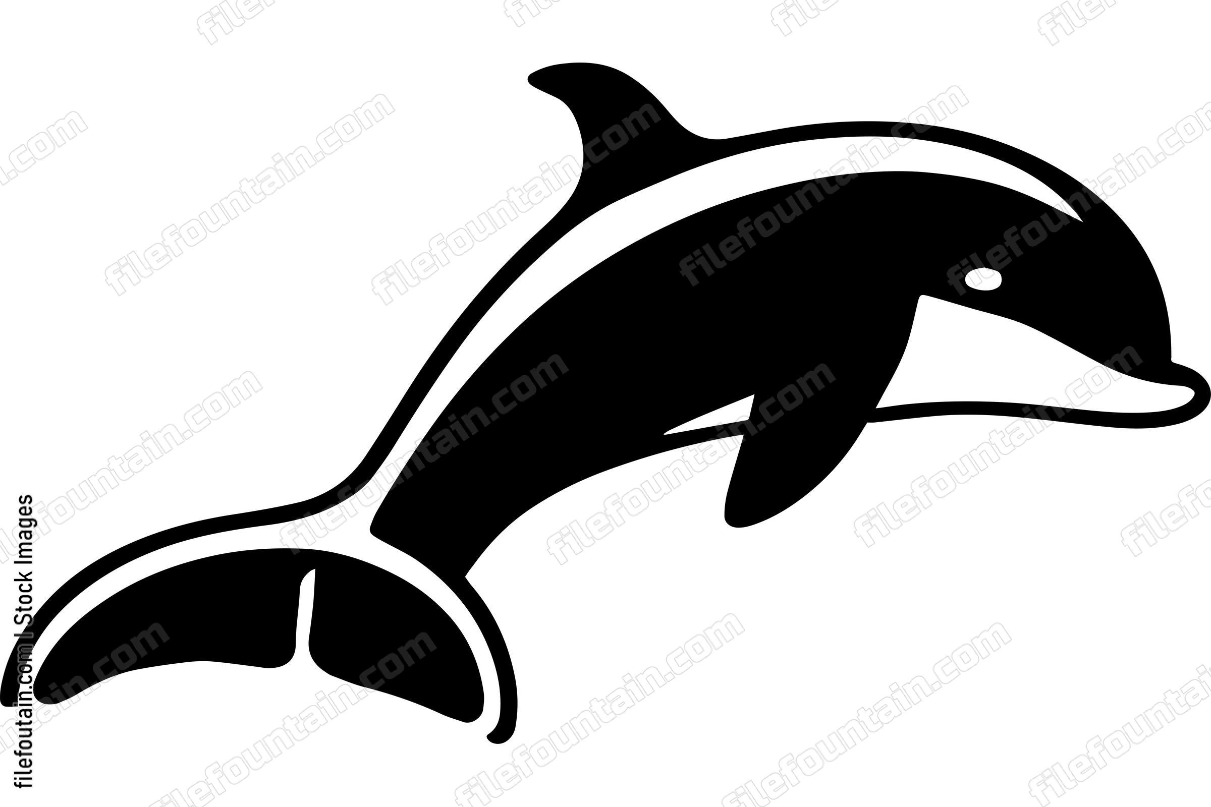 Dolphin