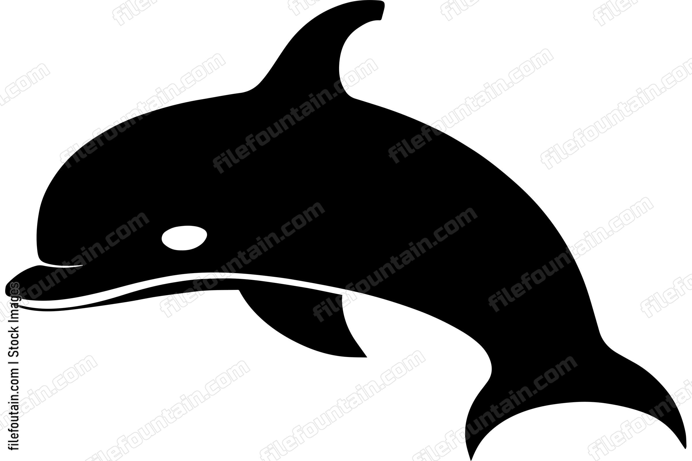 Dolphin