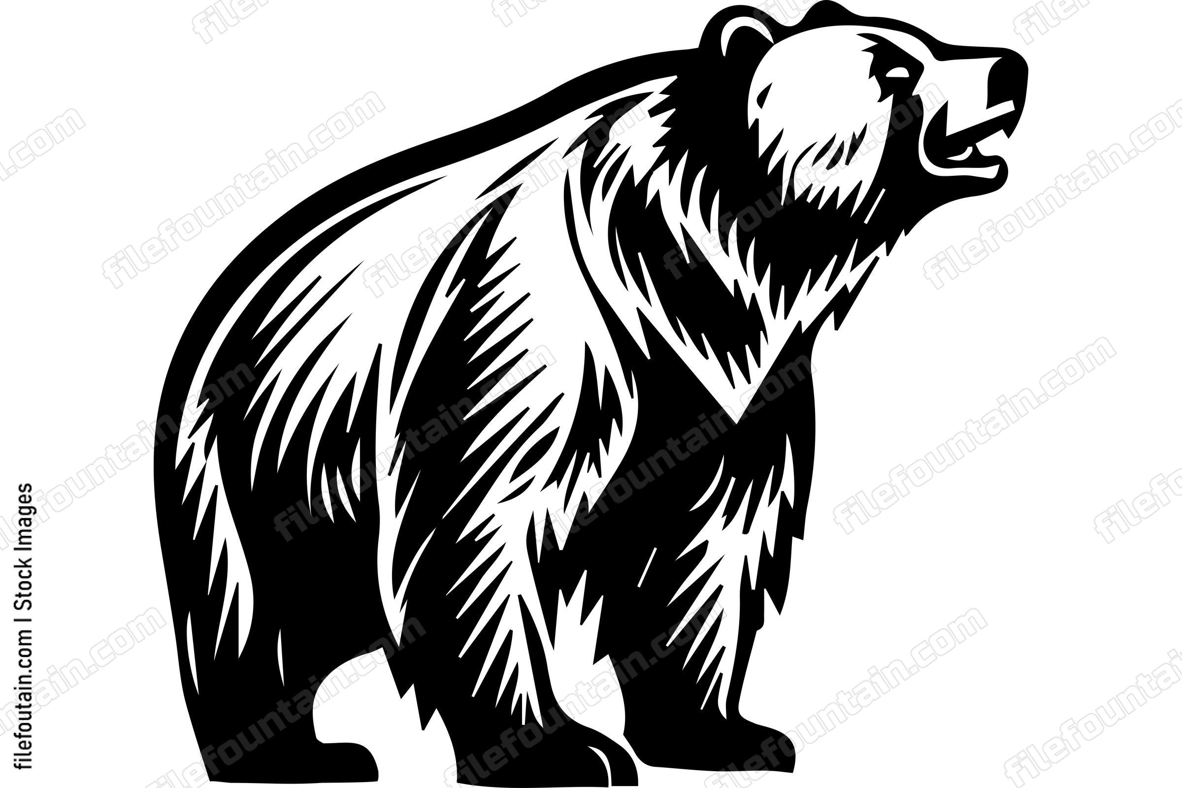 Grizzly Bear
