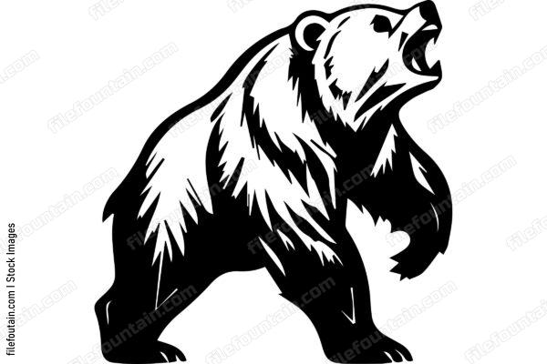 Grizzly Bear