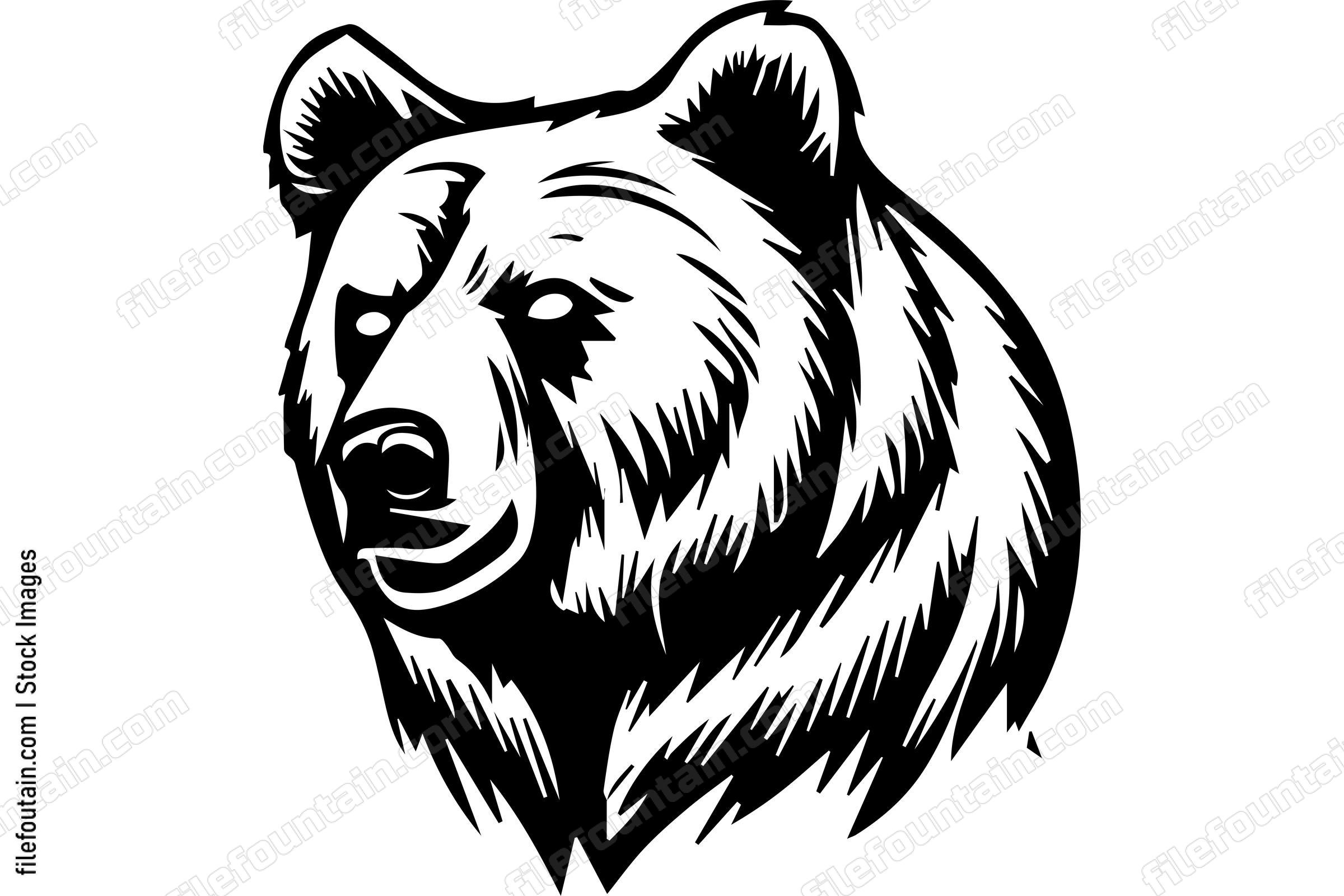 Grizzly Bear