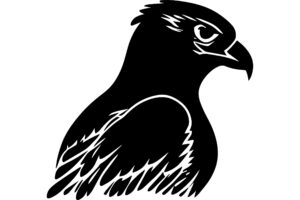 Hawk Minimalistic Logo