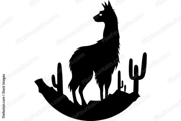 Llama