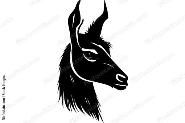Llama