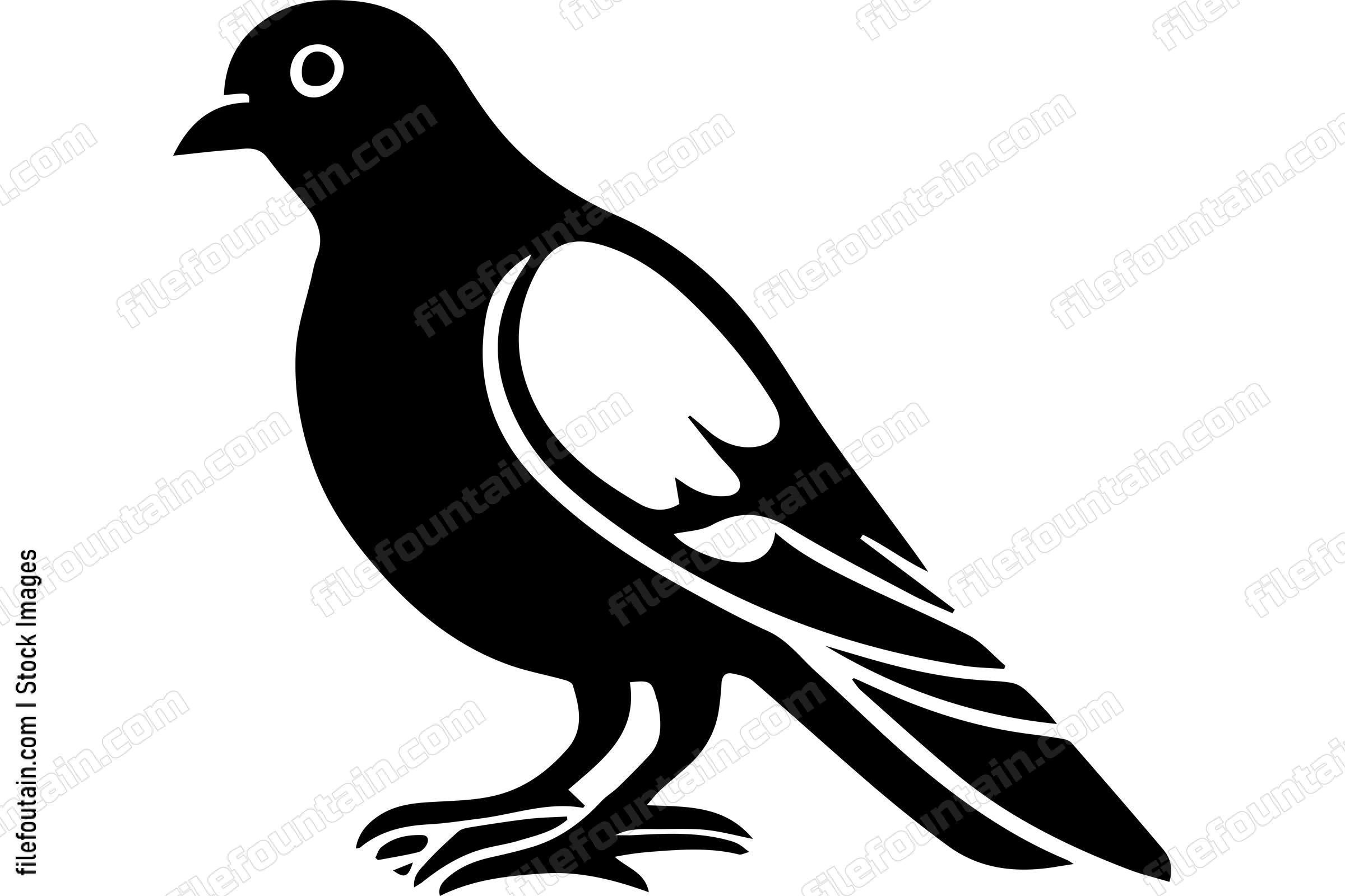 Pigeon