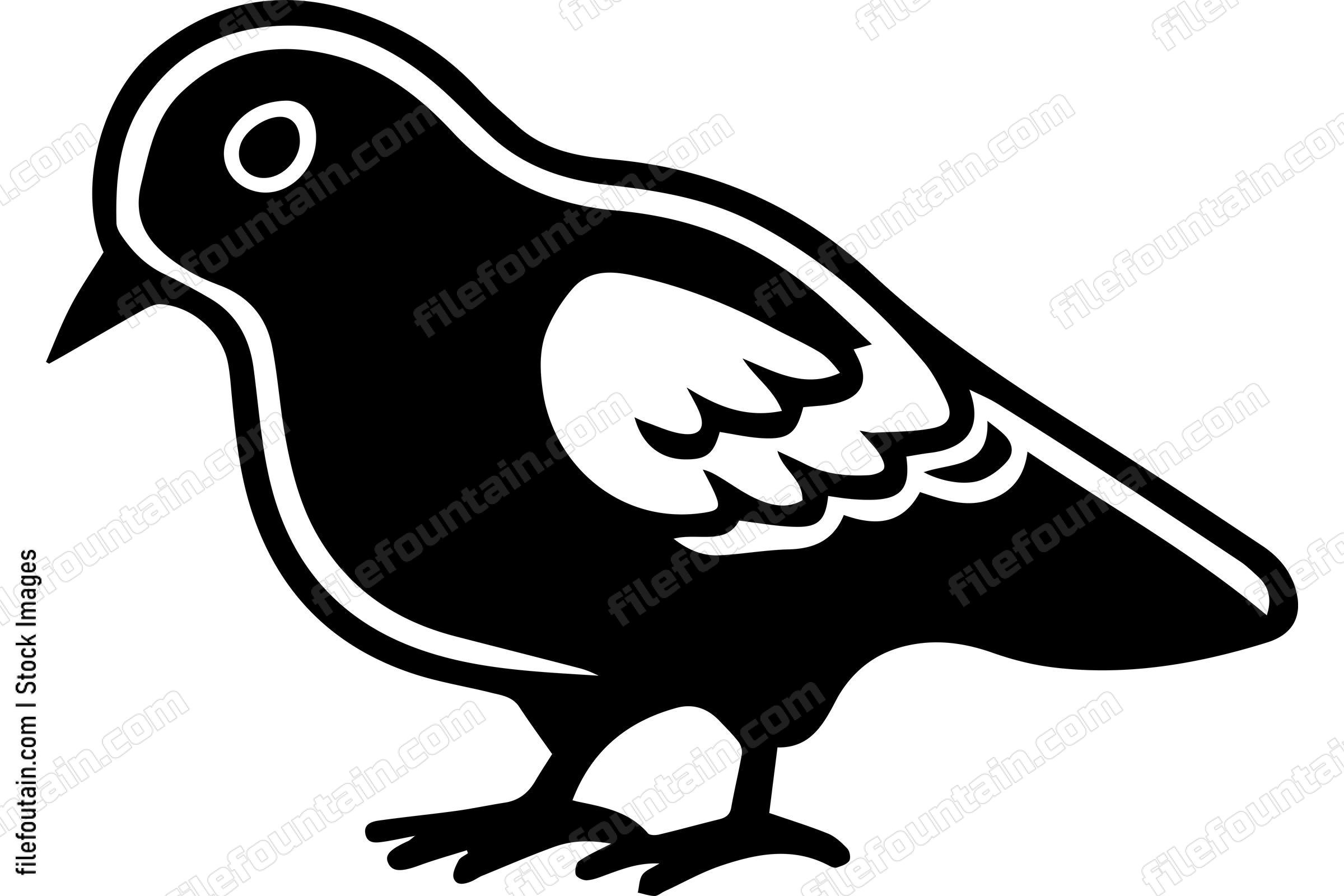 Pigeon